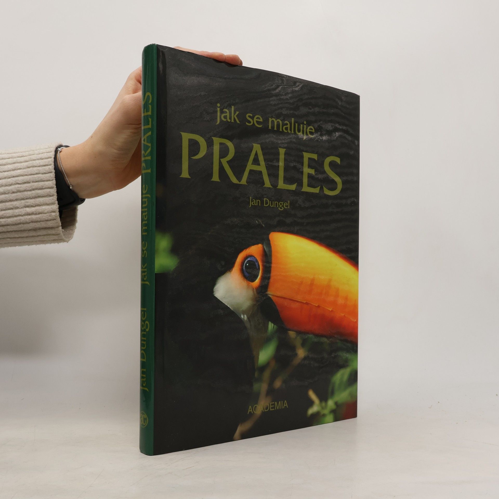 Jan Dungel Jak se maluje prales