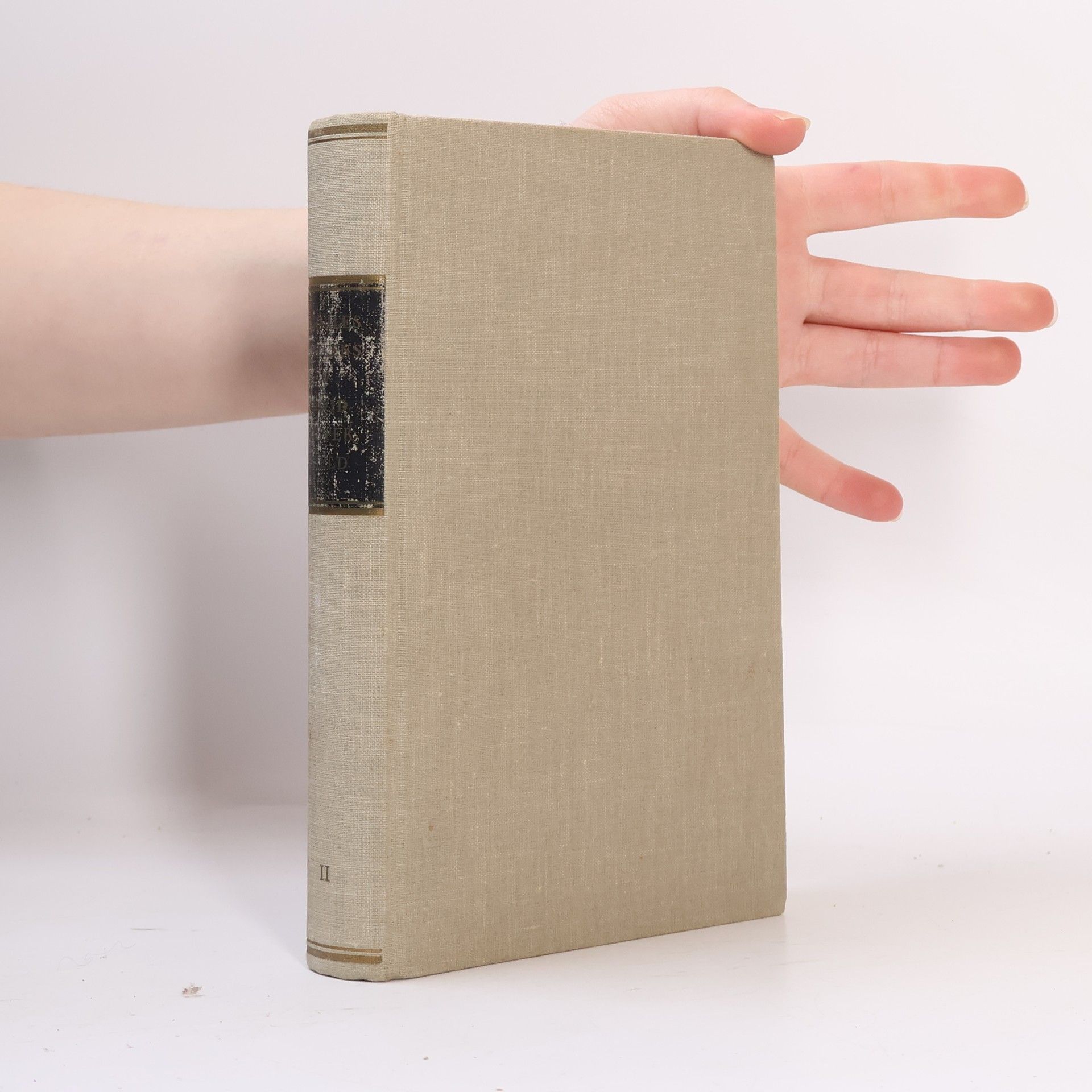 Charles Dickens Lebensgeschichte, Abenteuer, Erfahrungen, Beobachtungen des David Copperfield