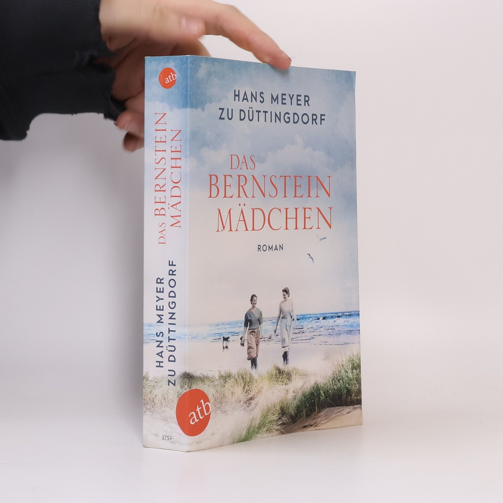 Das Bernsteinmädchen