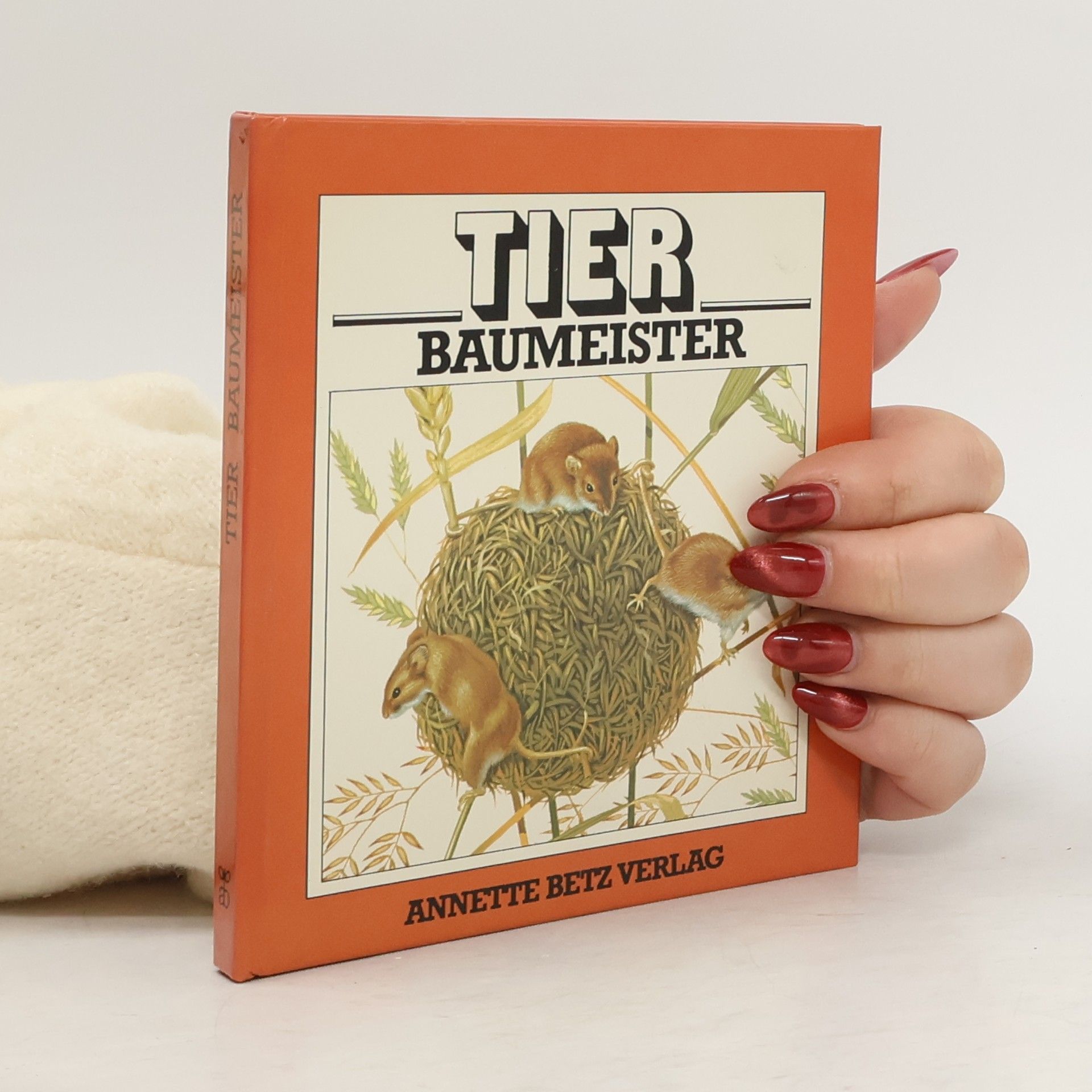 David Nockels Tierbaumeister