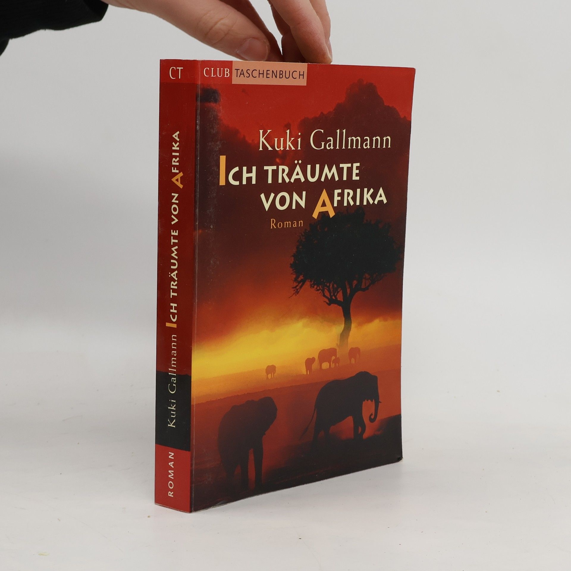 Kuki Gallmann Ich träumte von Afrika