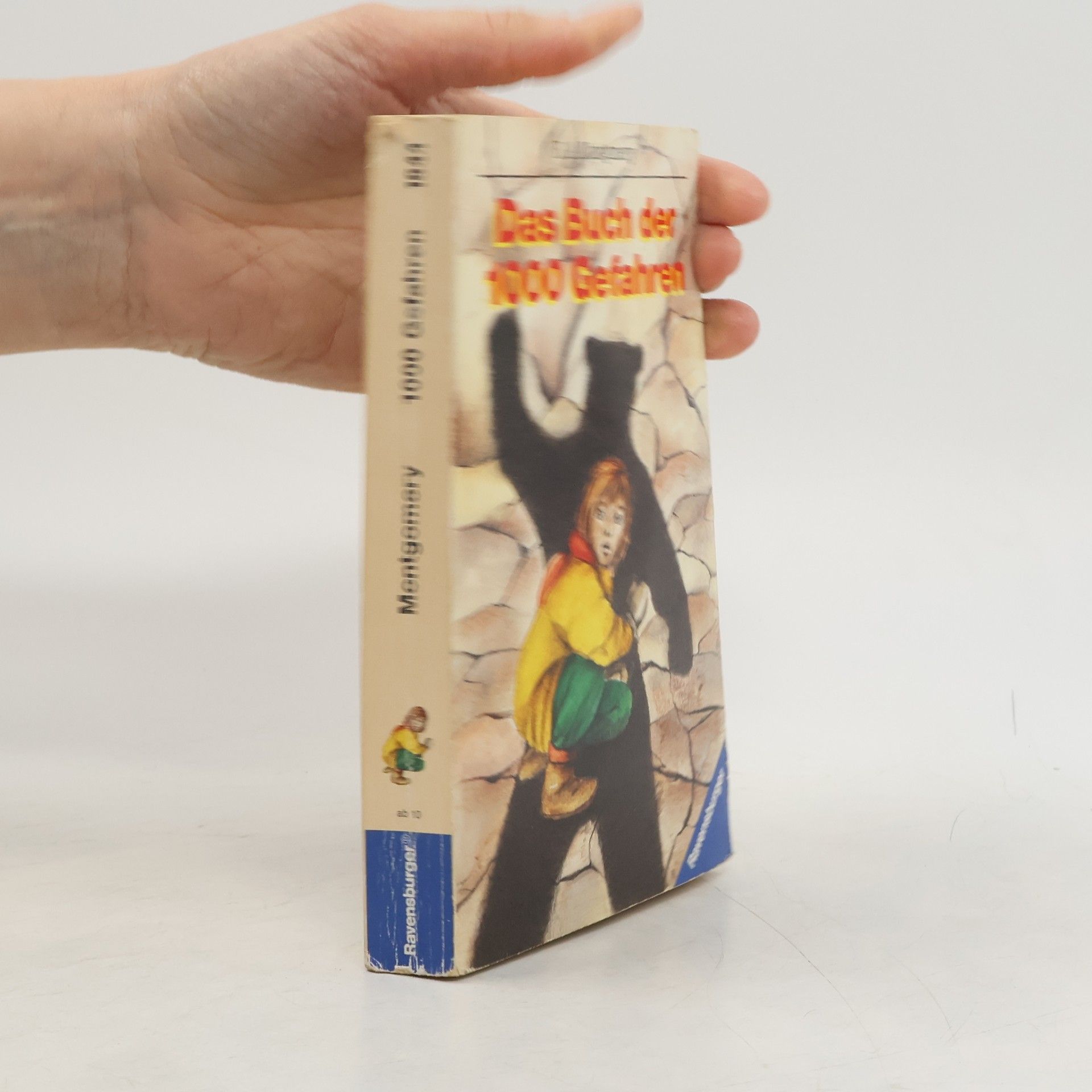 R. A. Montgomery Das Buch der 1000 Gefahren