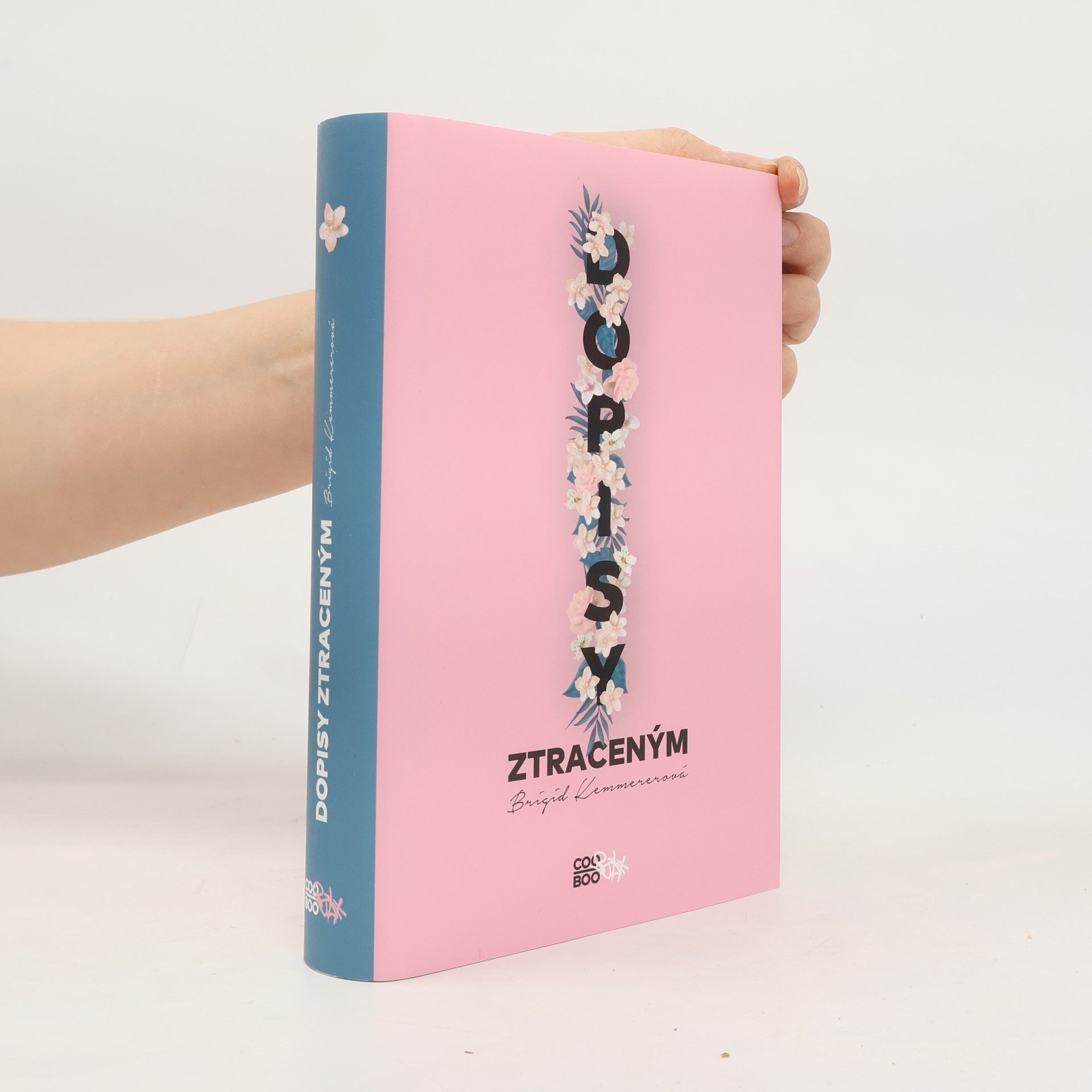 Brigid Kemmerer Dopisy ztraceným