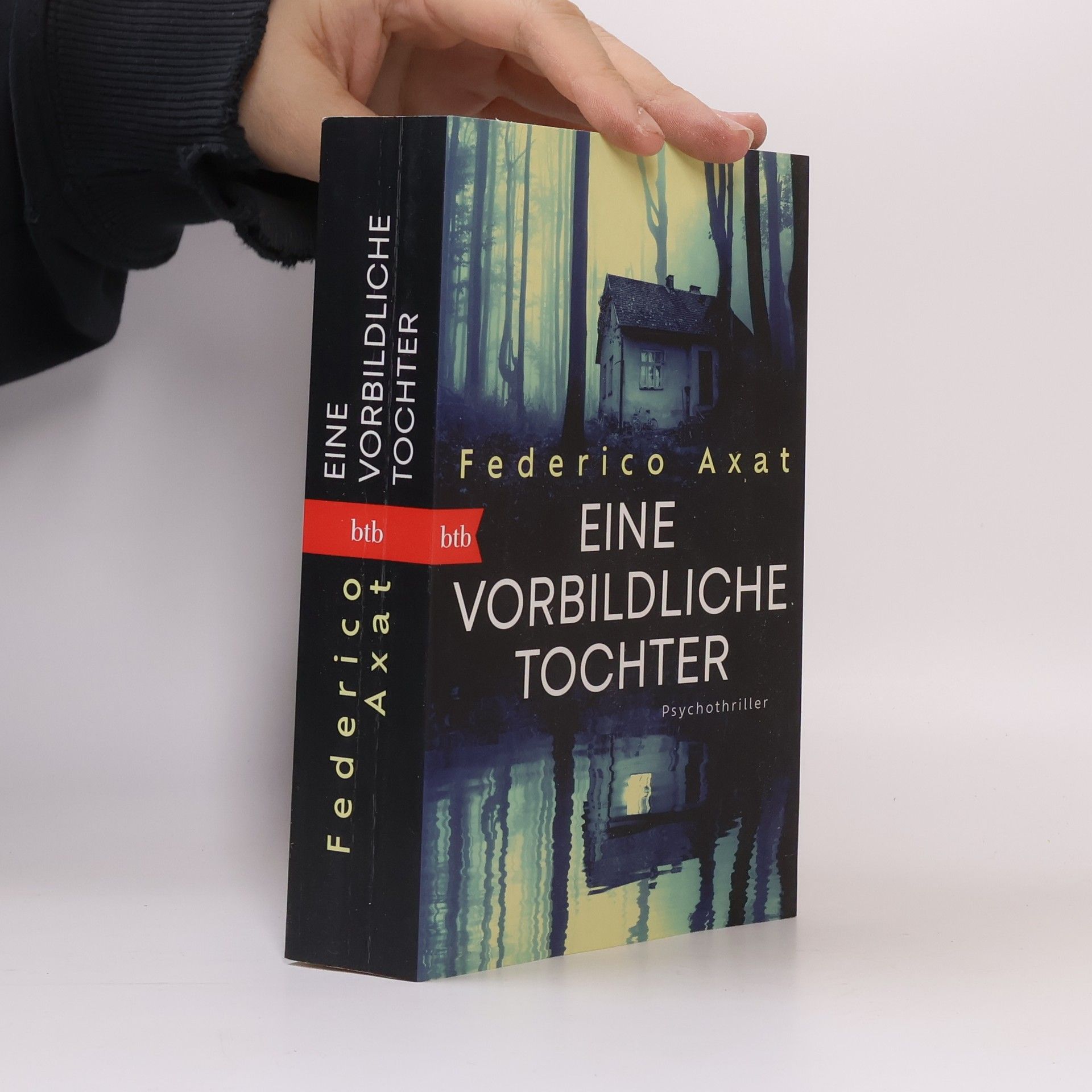 Federico Axat Eine vorbildliche Tochter