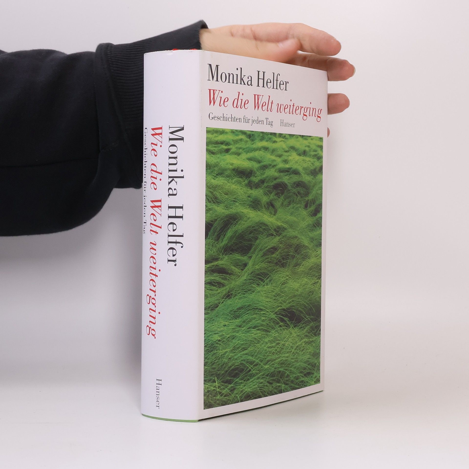 Monika Helfer Wie die Welt weiterging. Geschichten für jeden Tag