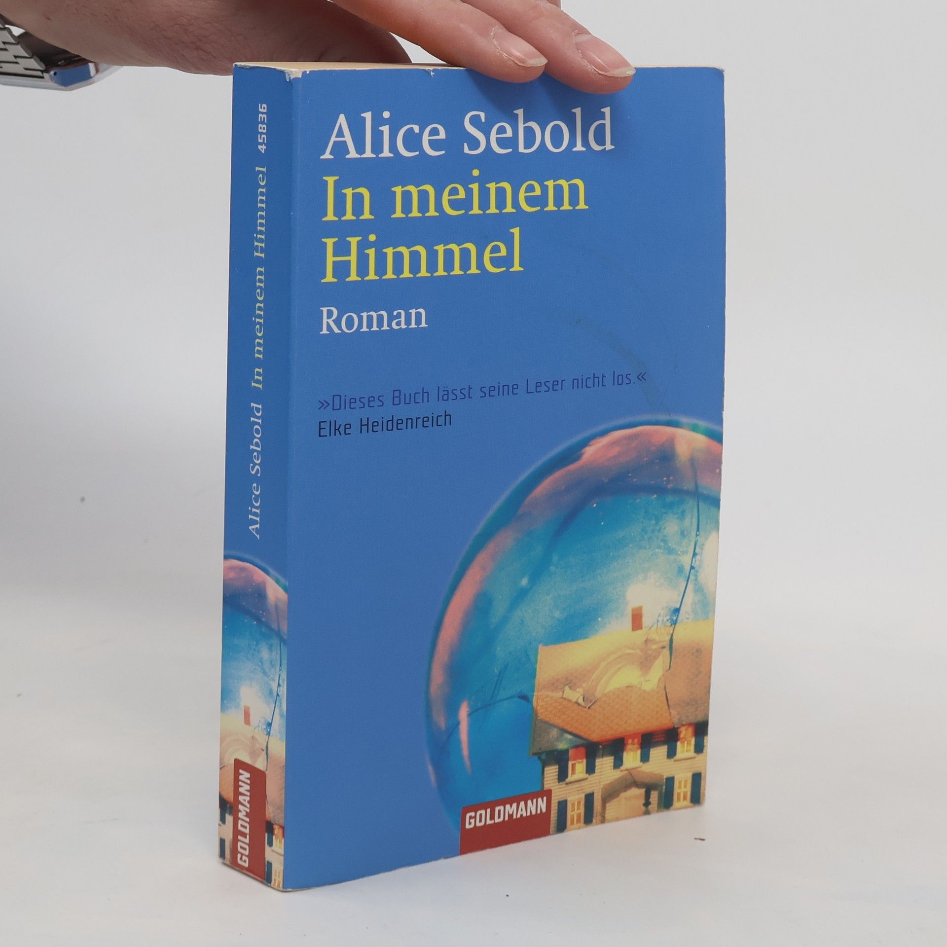 Alice Sebold In meinem Himmel