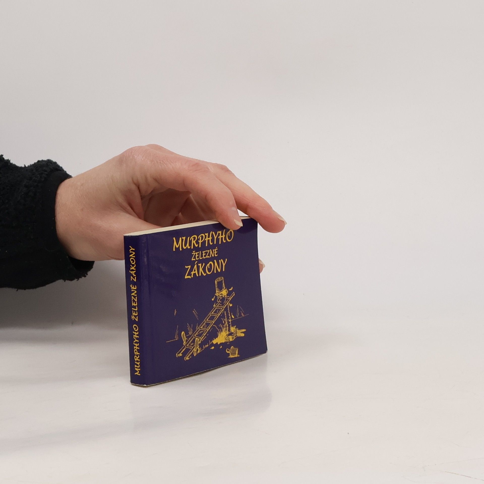 Murphyho železné zákony