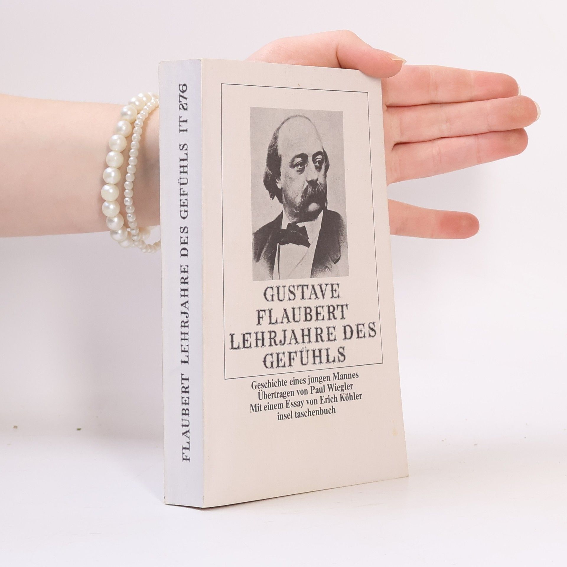 Gustave Flaubert Lehrjahre des Gefühls