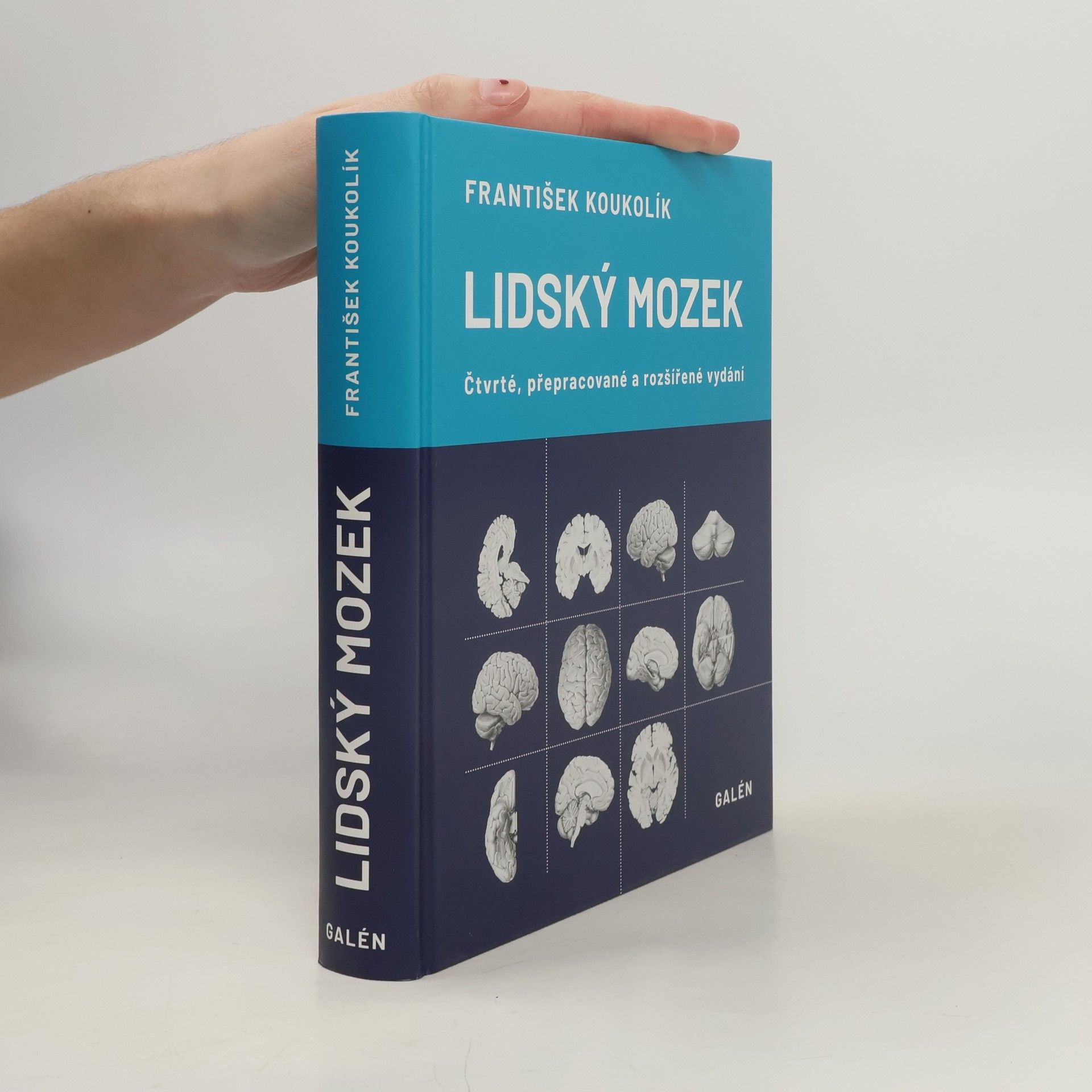 František Koukolík Lidský mozek