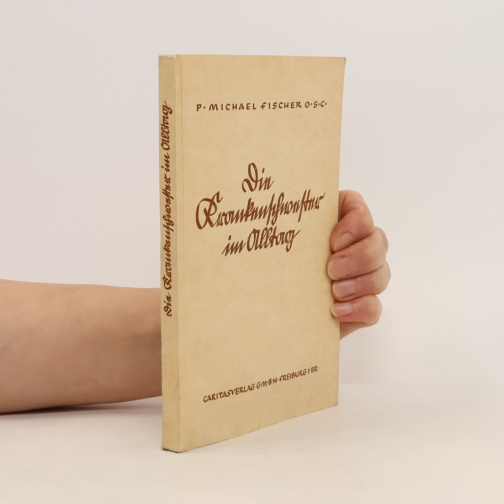 P. Michael Fischer Die Krankenschwester im Alltag