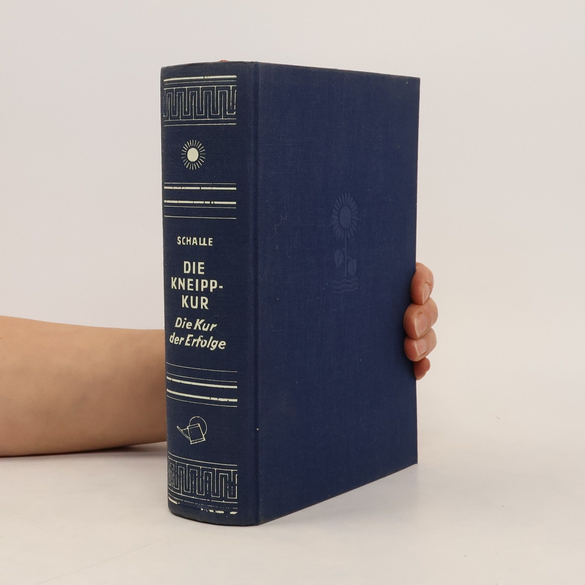 Albert Schalle Die Kneippkur. Die Kur der Erfolge