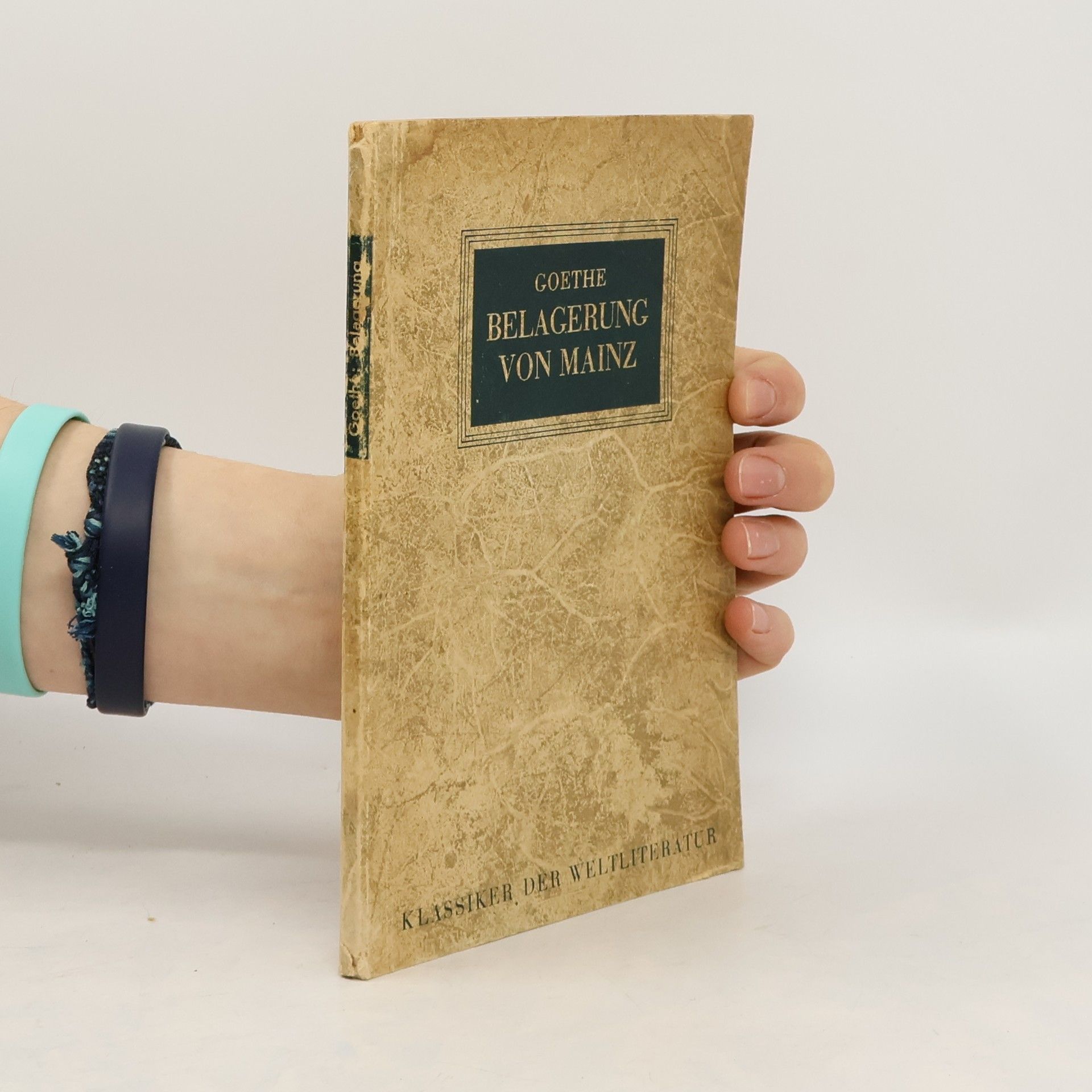 Johann Wolfgang von Goethe Belagerung von Mainz