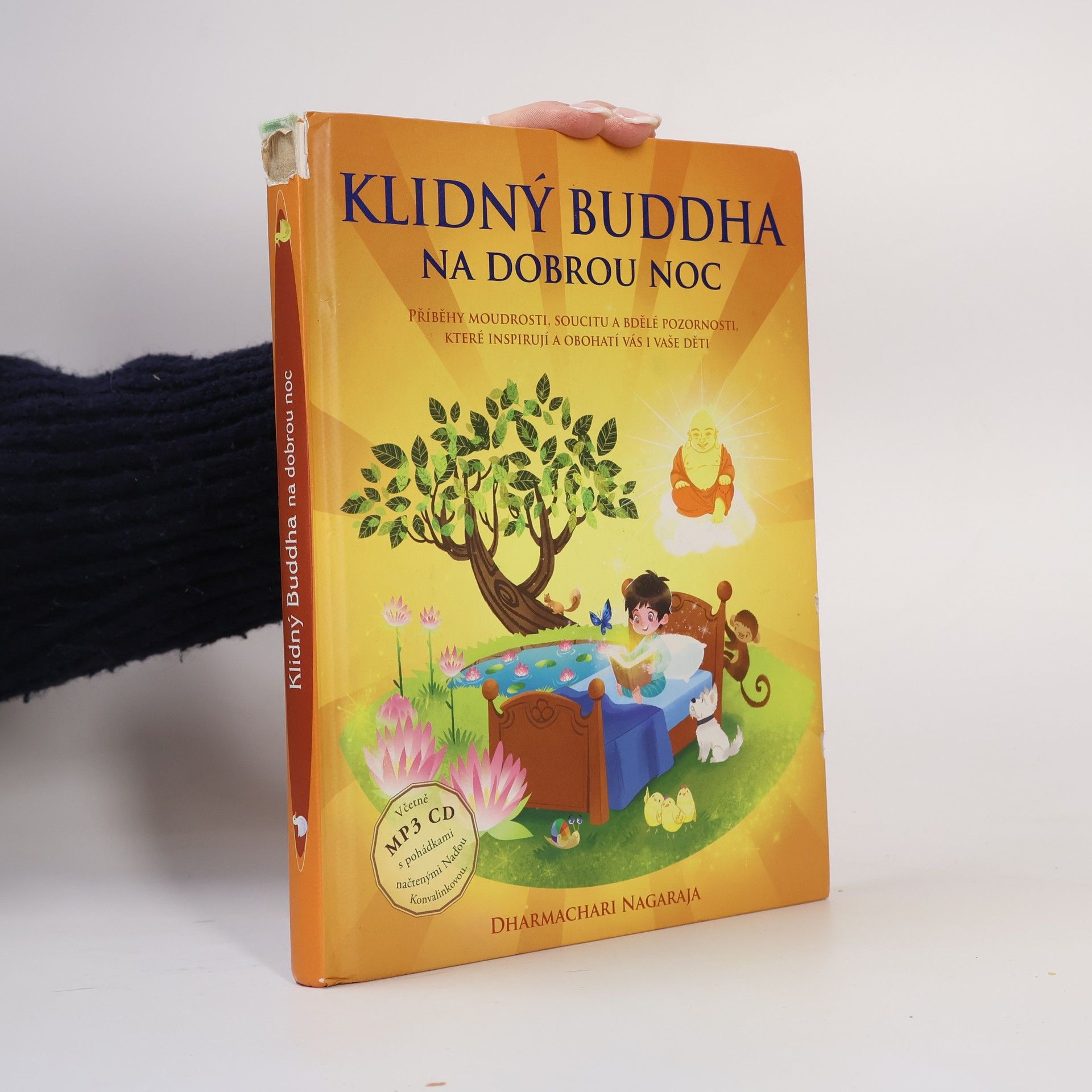 Klidný Buddha na dobrou noc.