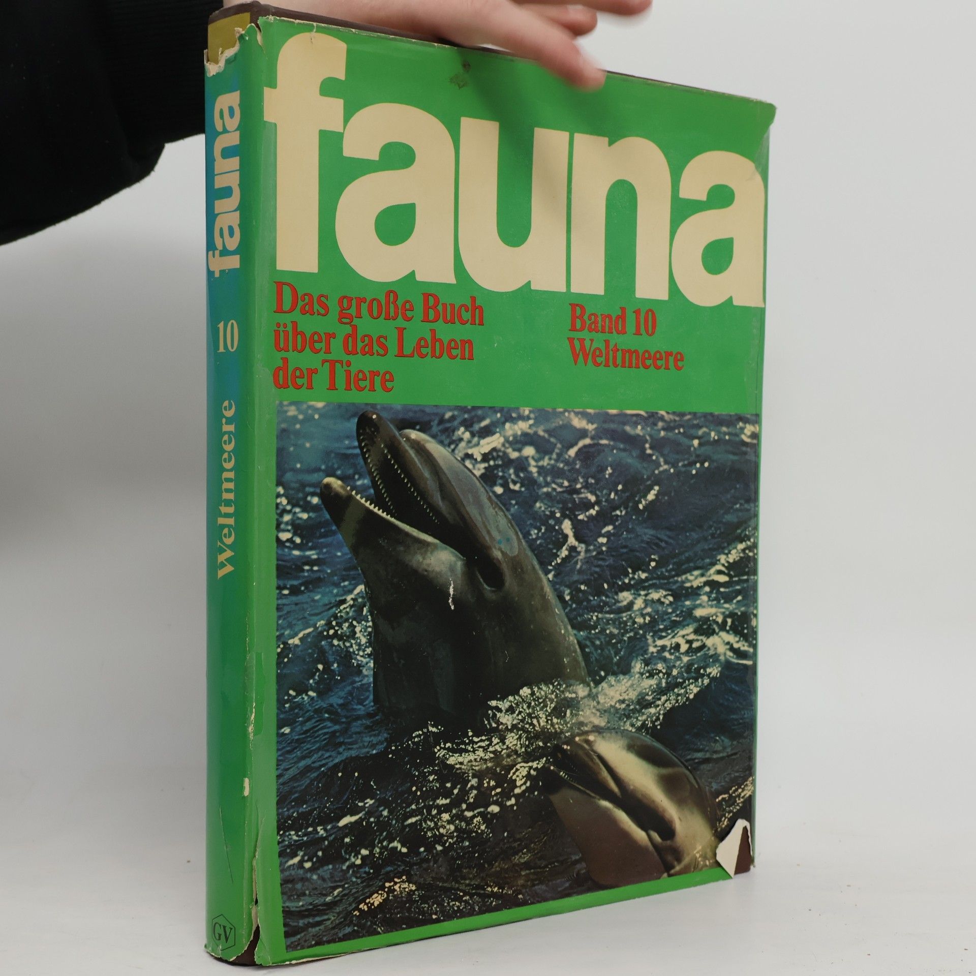 Collectif d'auteurs Fauna. Das große Buch über das Leben der Tiere. Band 1