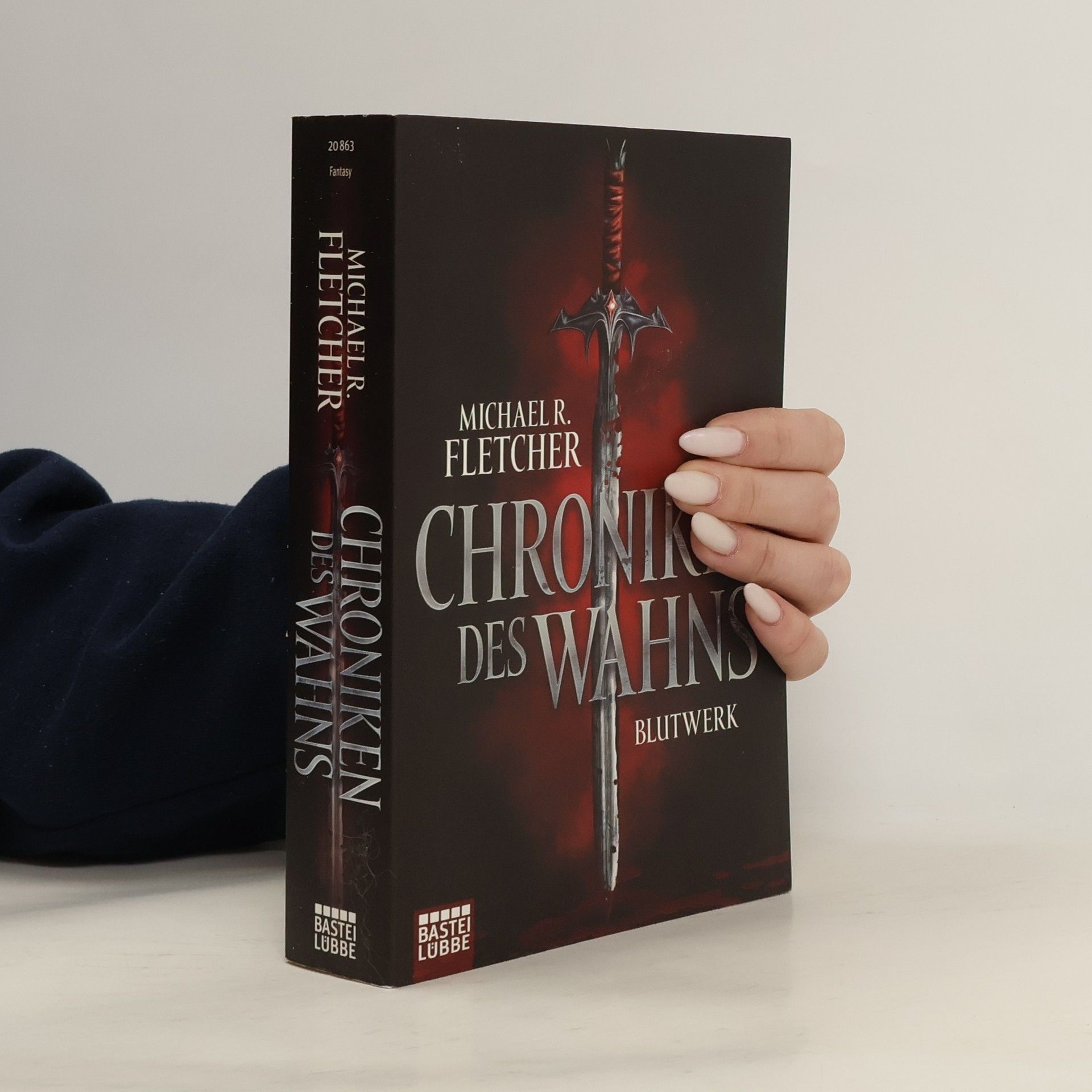 Michael R. Fletcher Chroniken des Wahns - Blutwerk