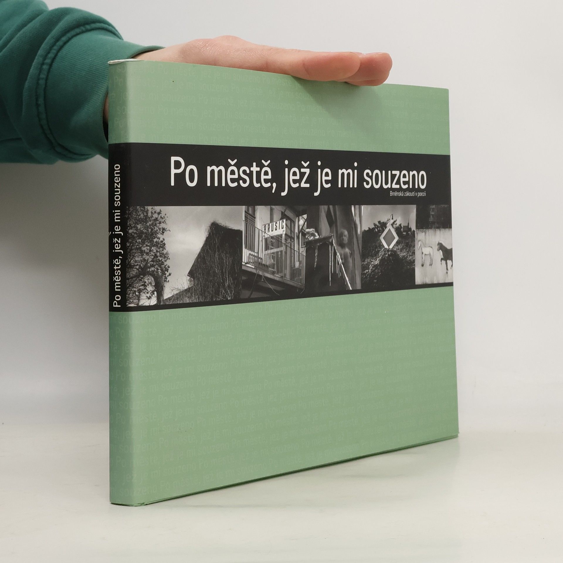 Po městě, jež je mi souzeno