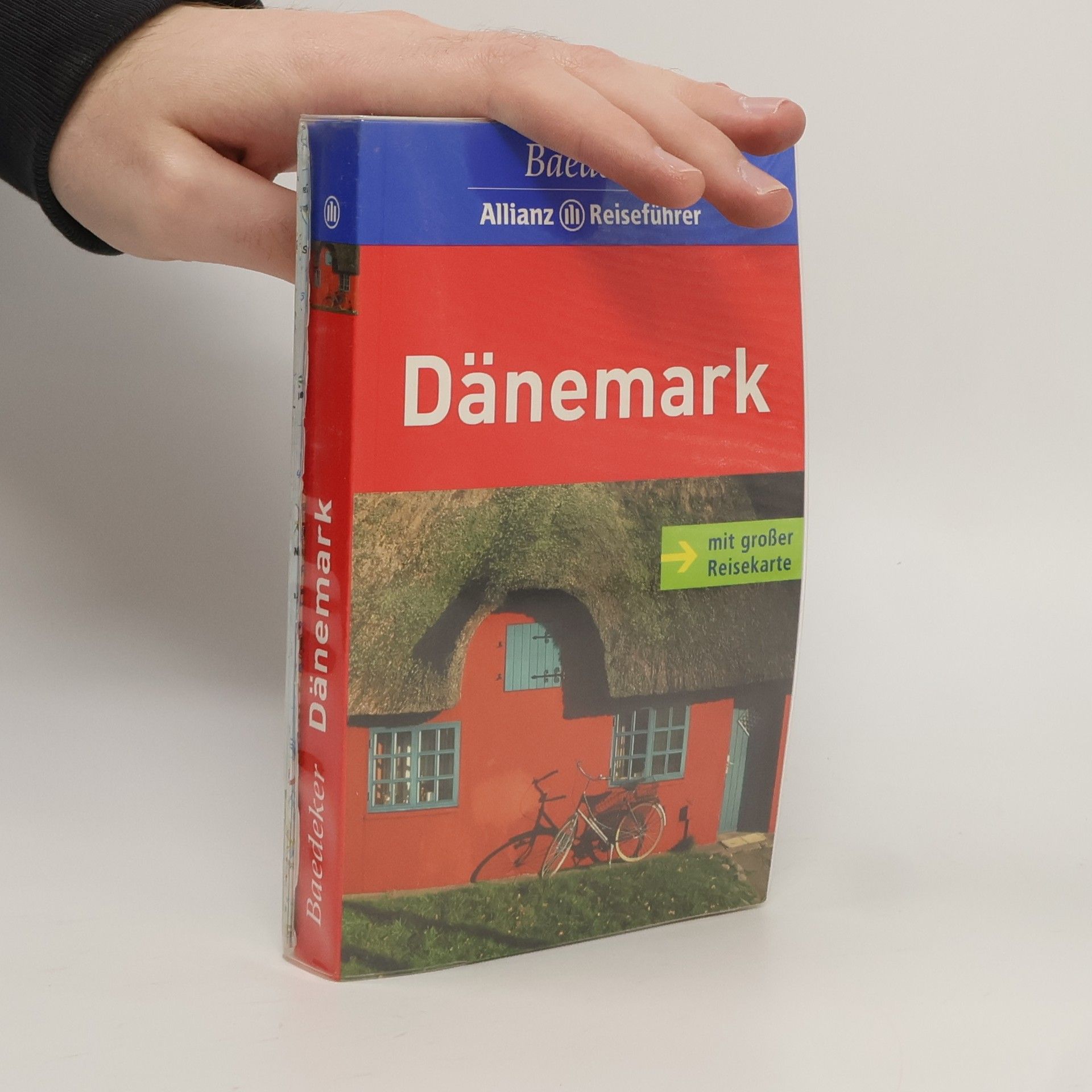 Dina Stahn Dänemark