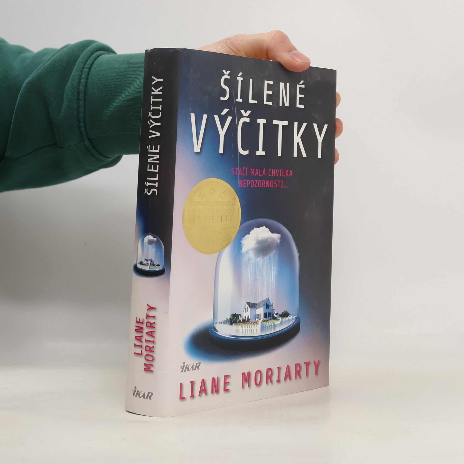 Liane Moriarty Šílené výčitky