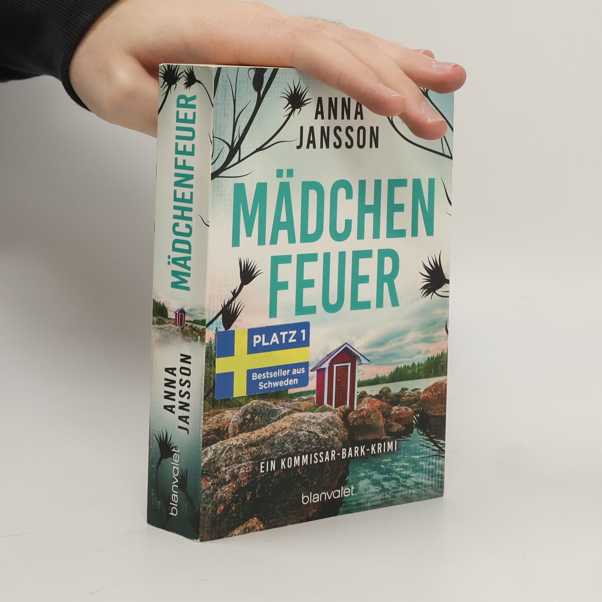 Anna Jansson Mädchenfeuer