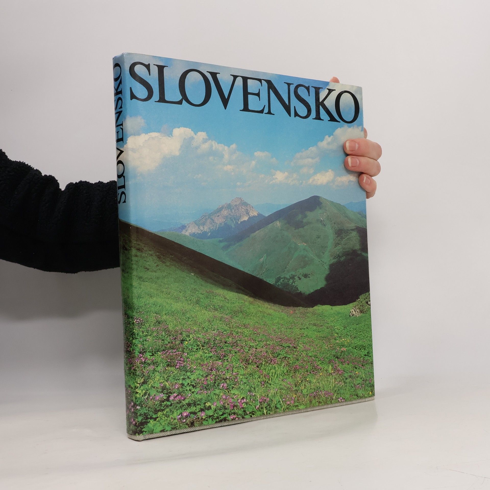 Milan Ferko Slovensko