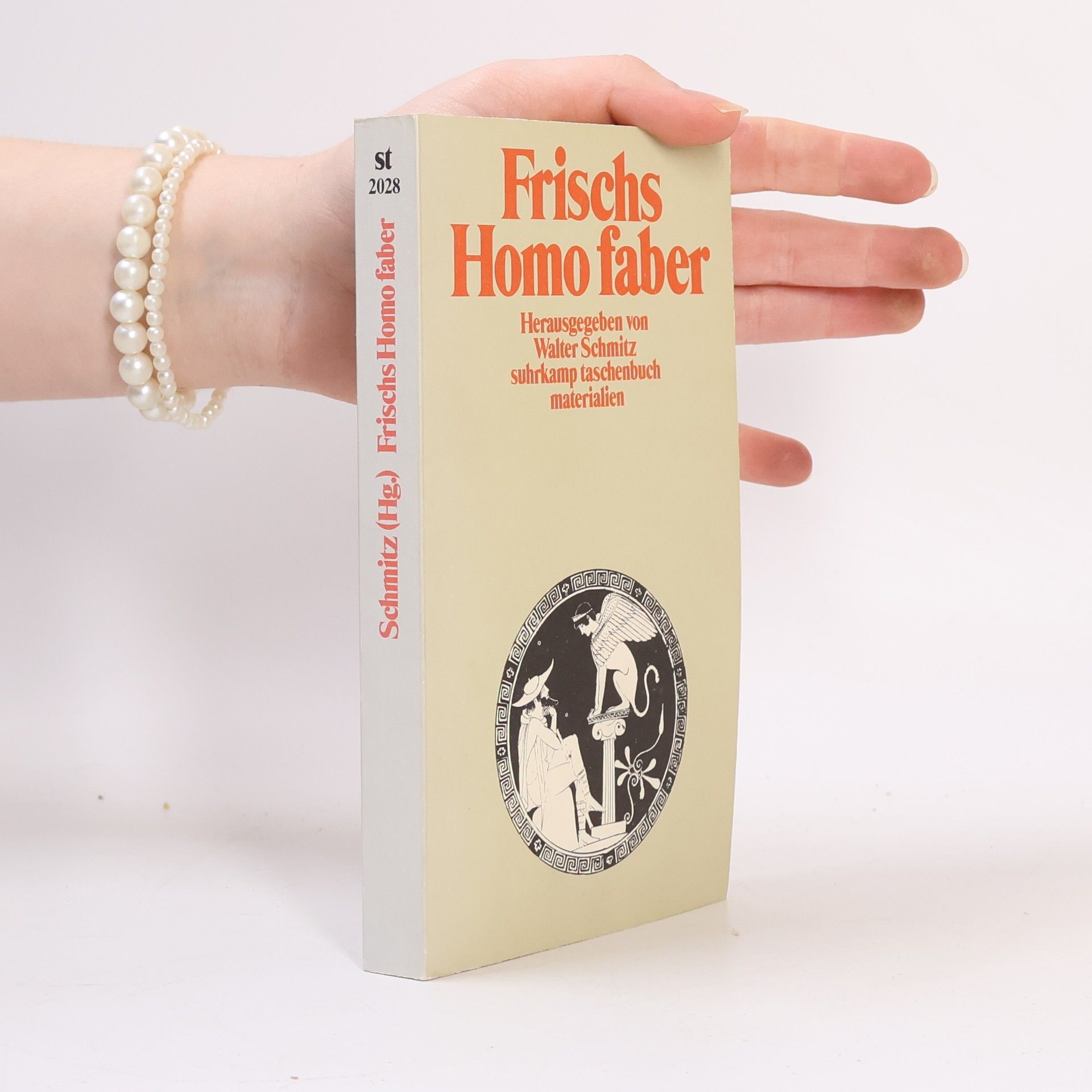 Walter Schmitz Frischs "Homo faber"