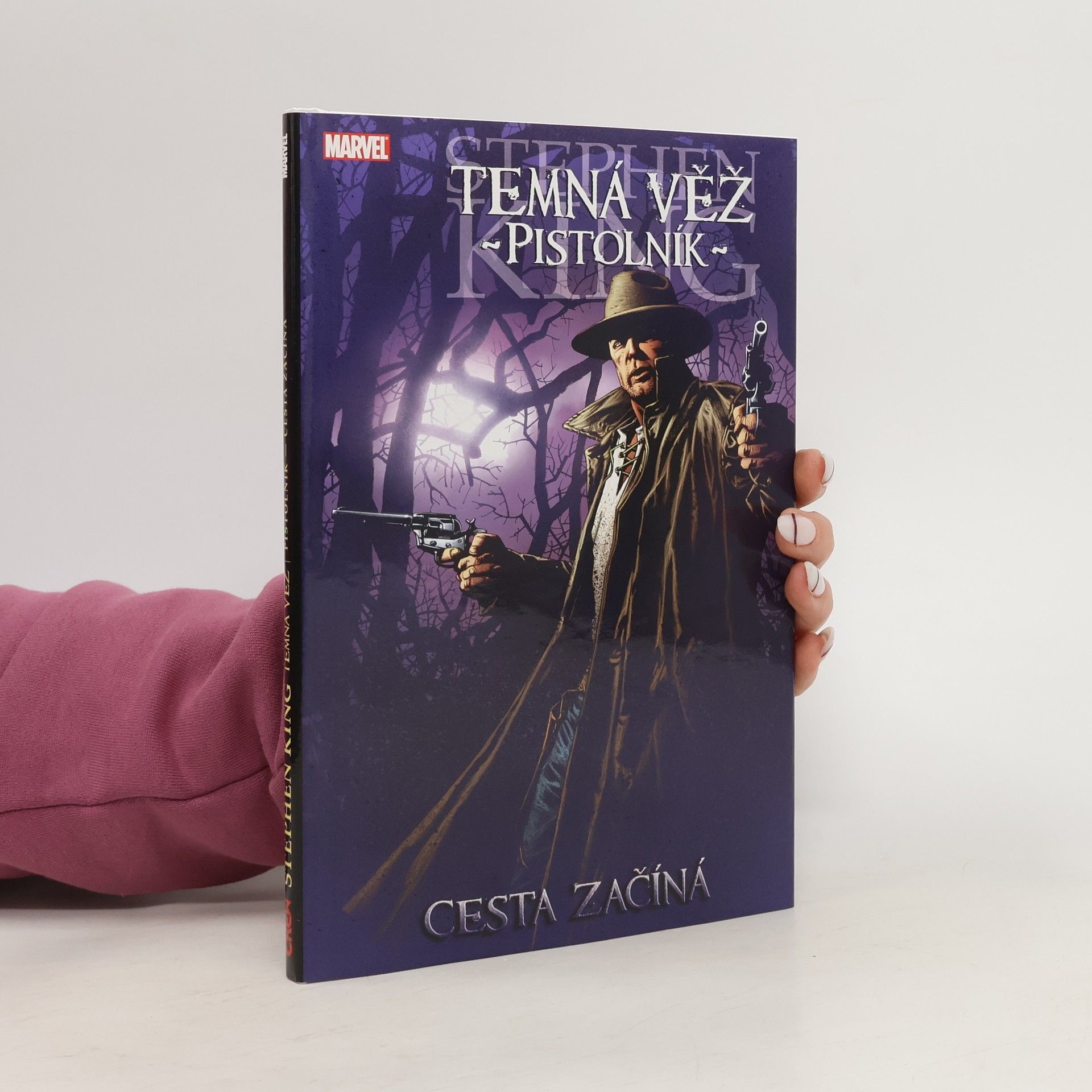 Petr David Temná věž 6: Pistolník 1: Cesta začíná