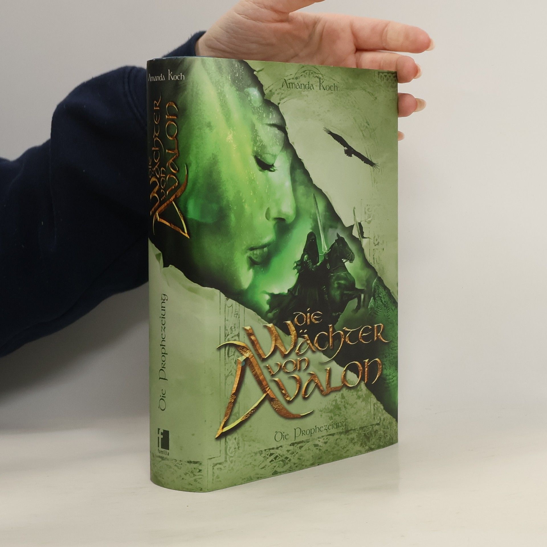 Amanda Koch Die Wächter von Avalon