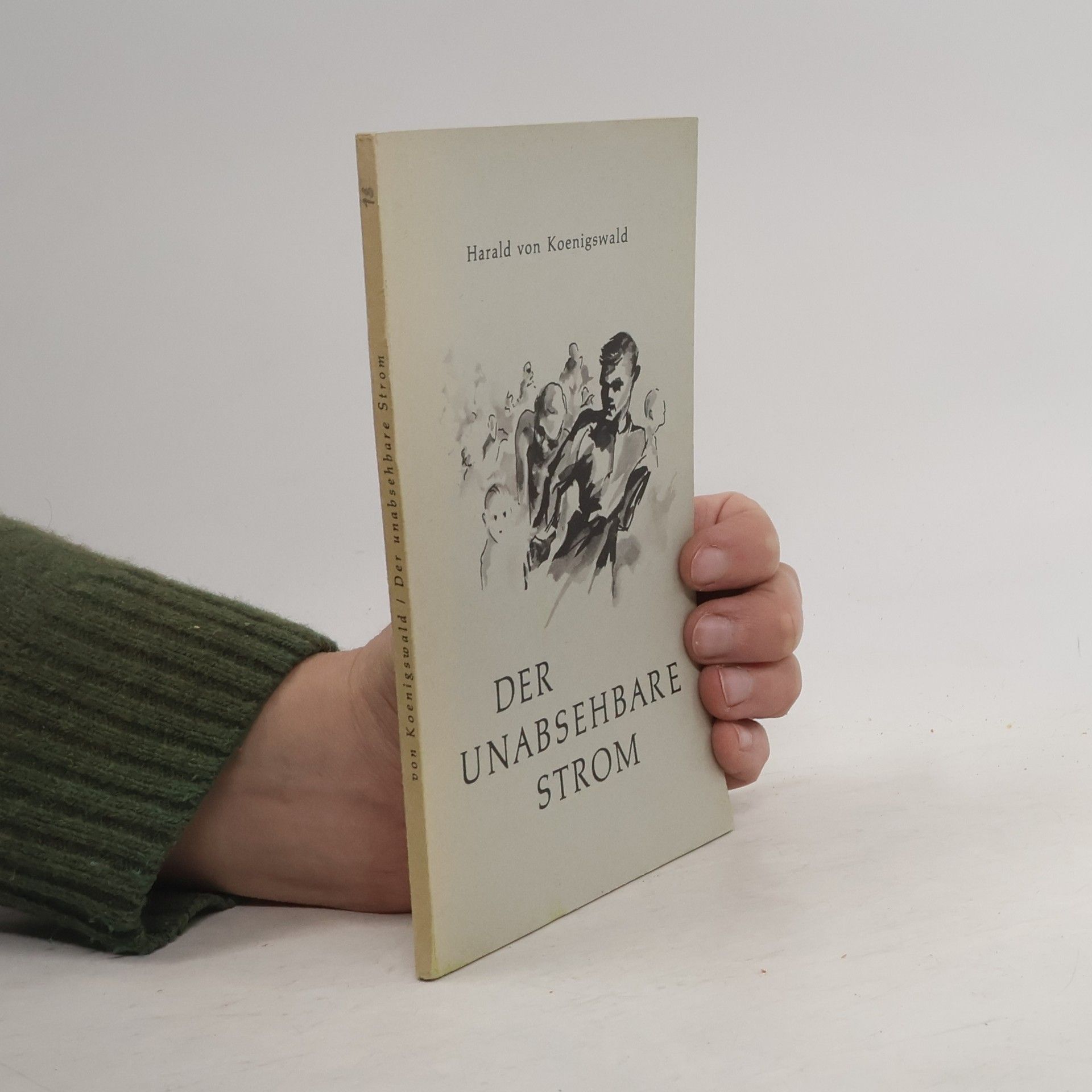 Harald von Koenigswald Der Unabsehbare Strom