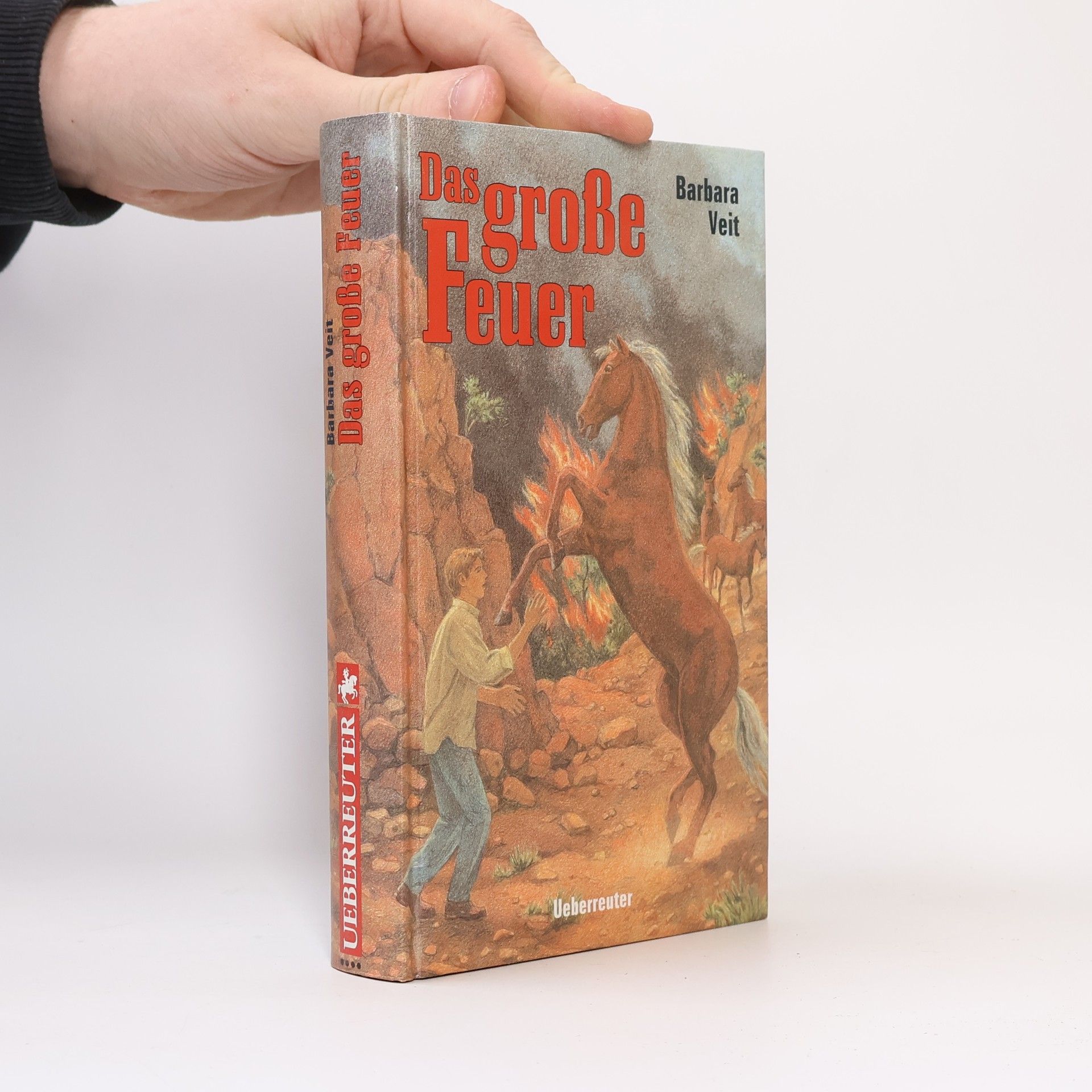 Barbara Veit Das grosse Feuer