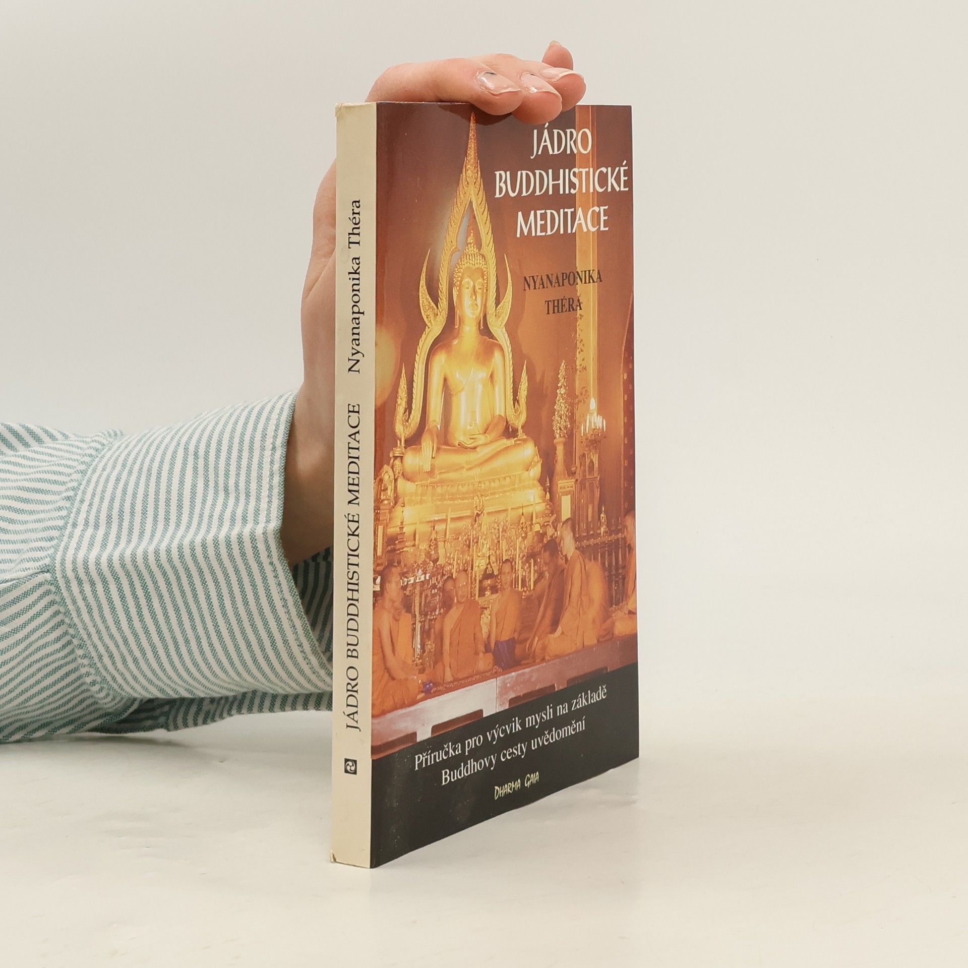 Karel Werner Jádro buddhistické meditace : satipatthána : příručka pro výcvik mysli na základě Buddhovy cesty uvědomění : s antologií textů přeložených z pálijštiny a sanskrtu