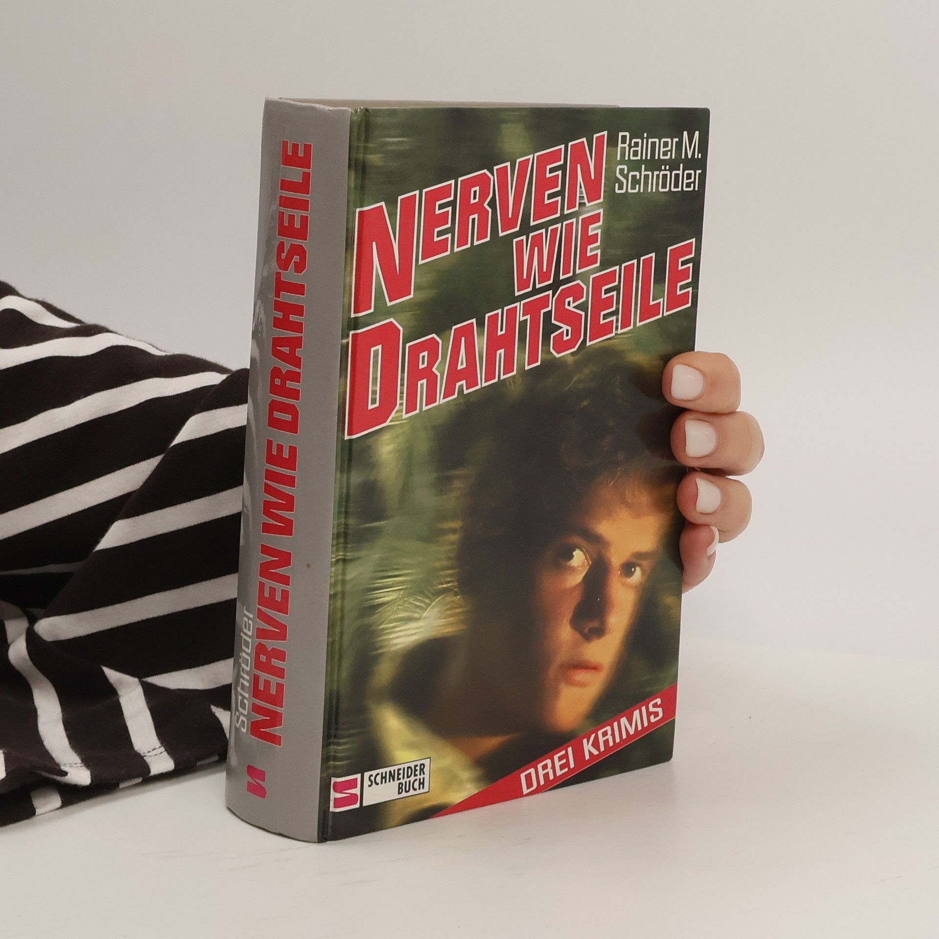 Rainer M. Schröder Nerven wie Drahtseile