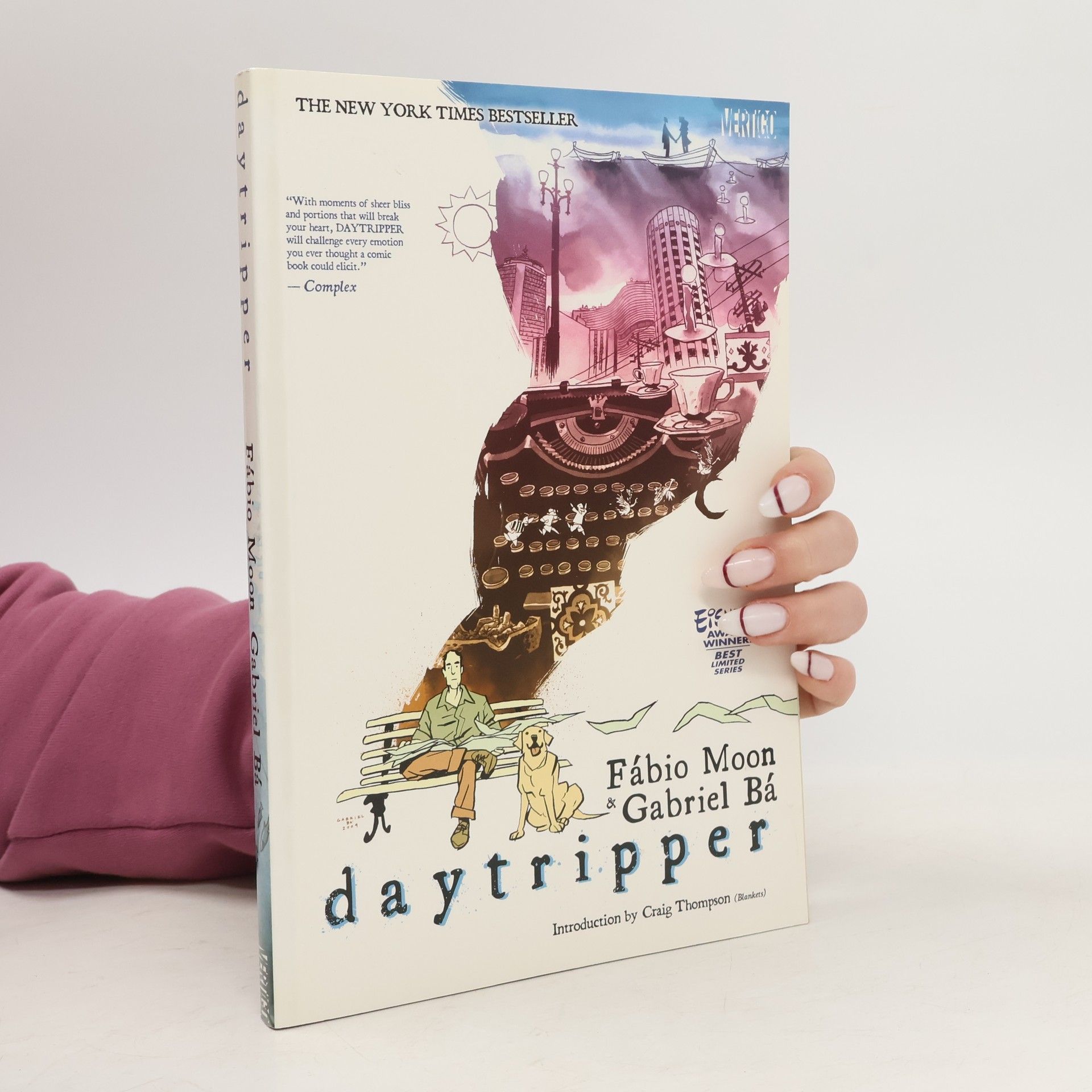 Fábio Moon Daytripper