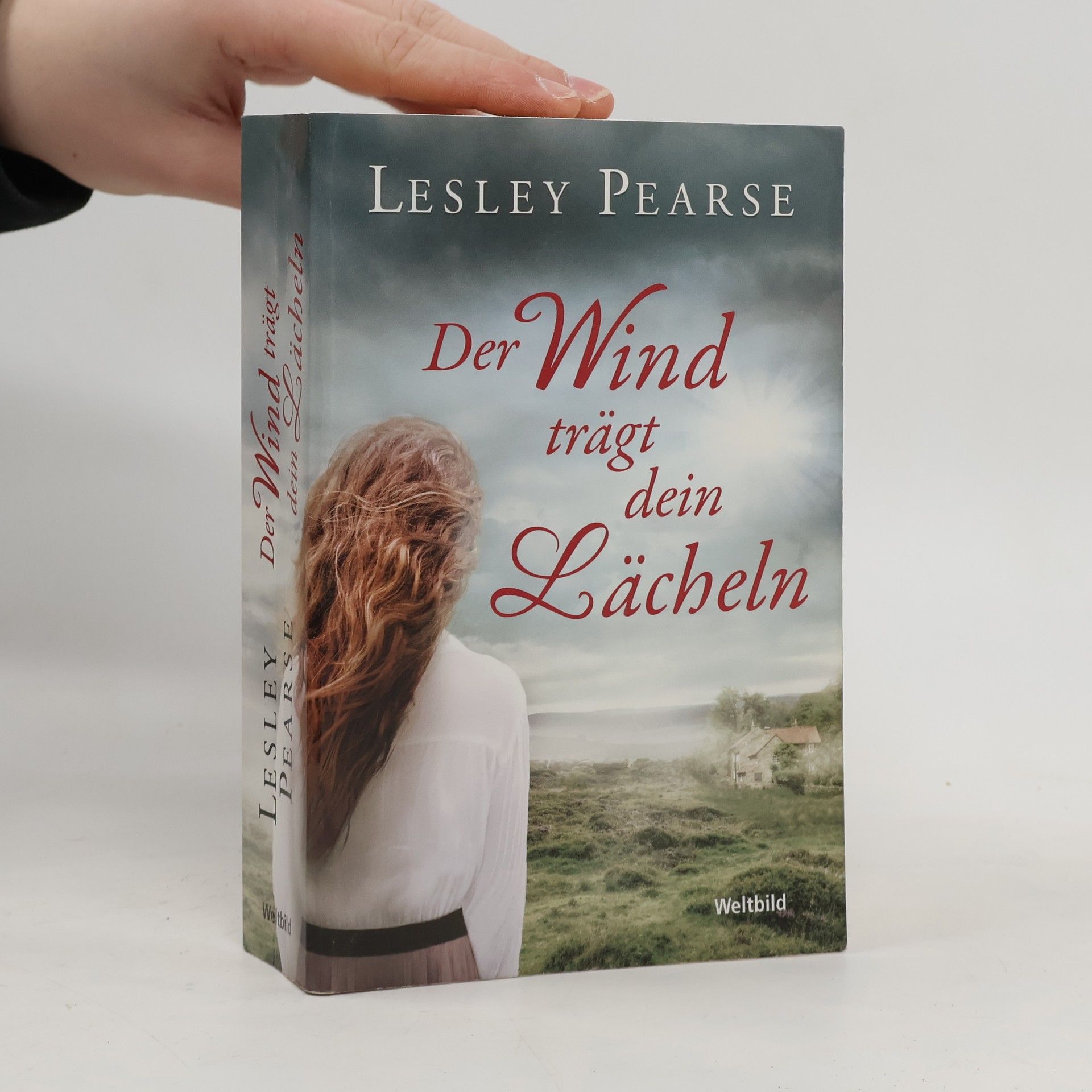 Lesley Pearse Der Wind trägt dein Lächeln