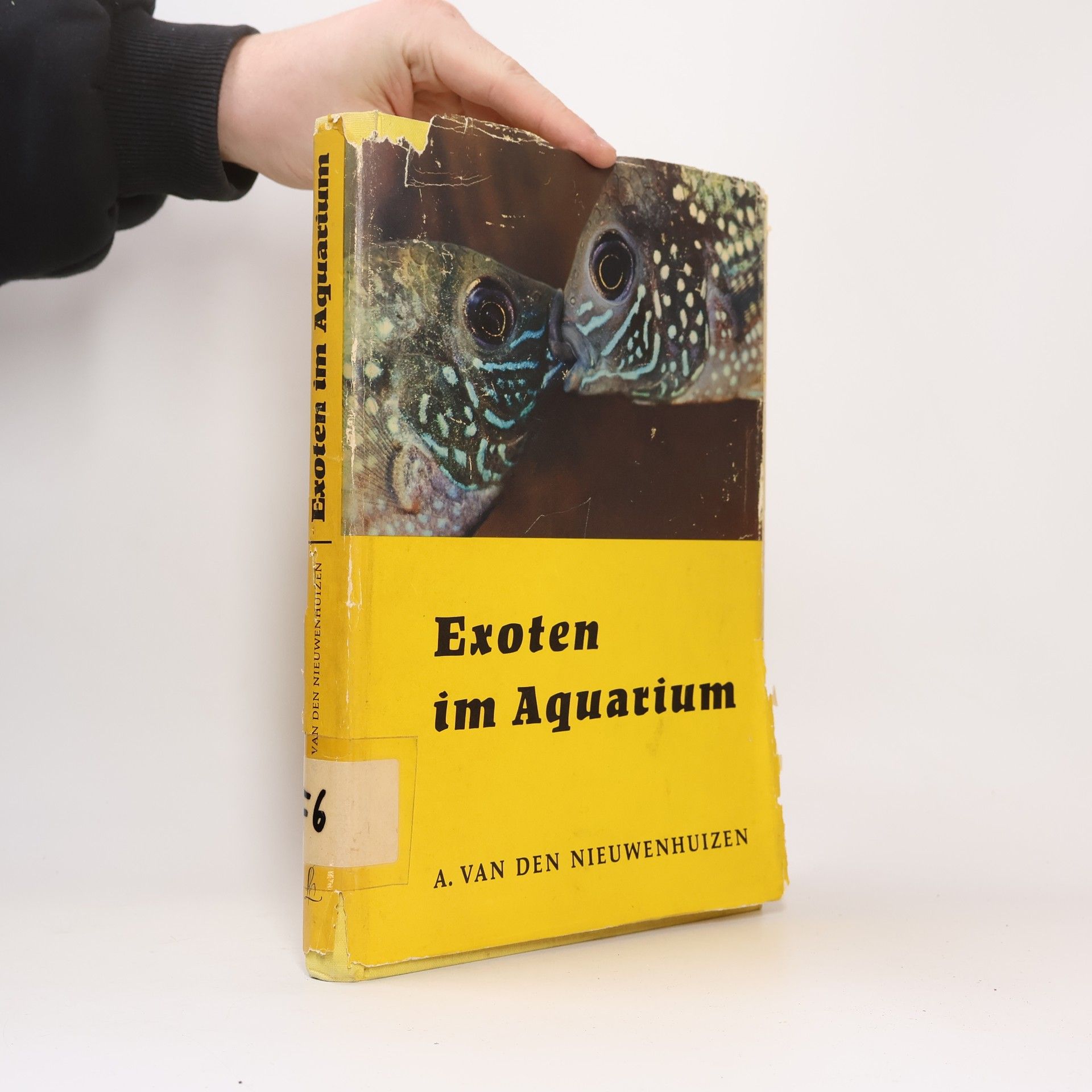 Arend van den Nieuwenhuizen Exoten im Aquarium