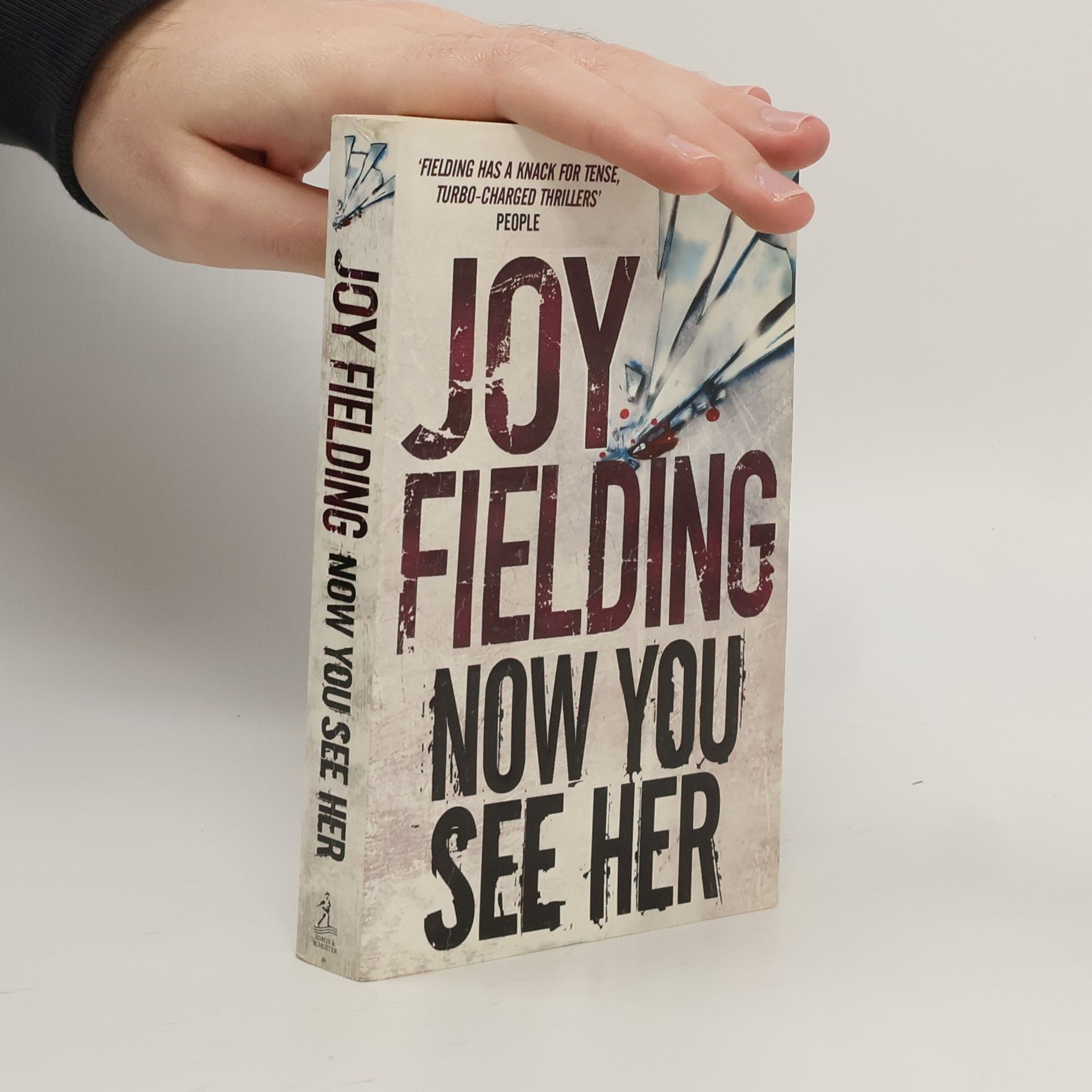 Joy Fielding Now You See Her
