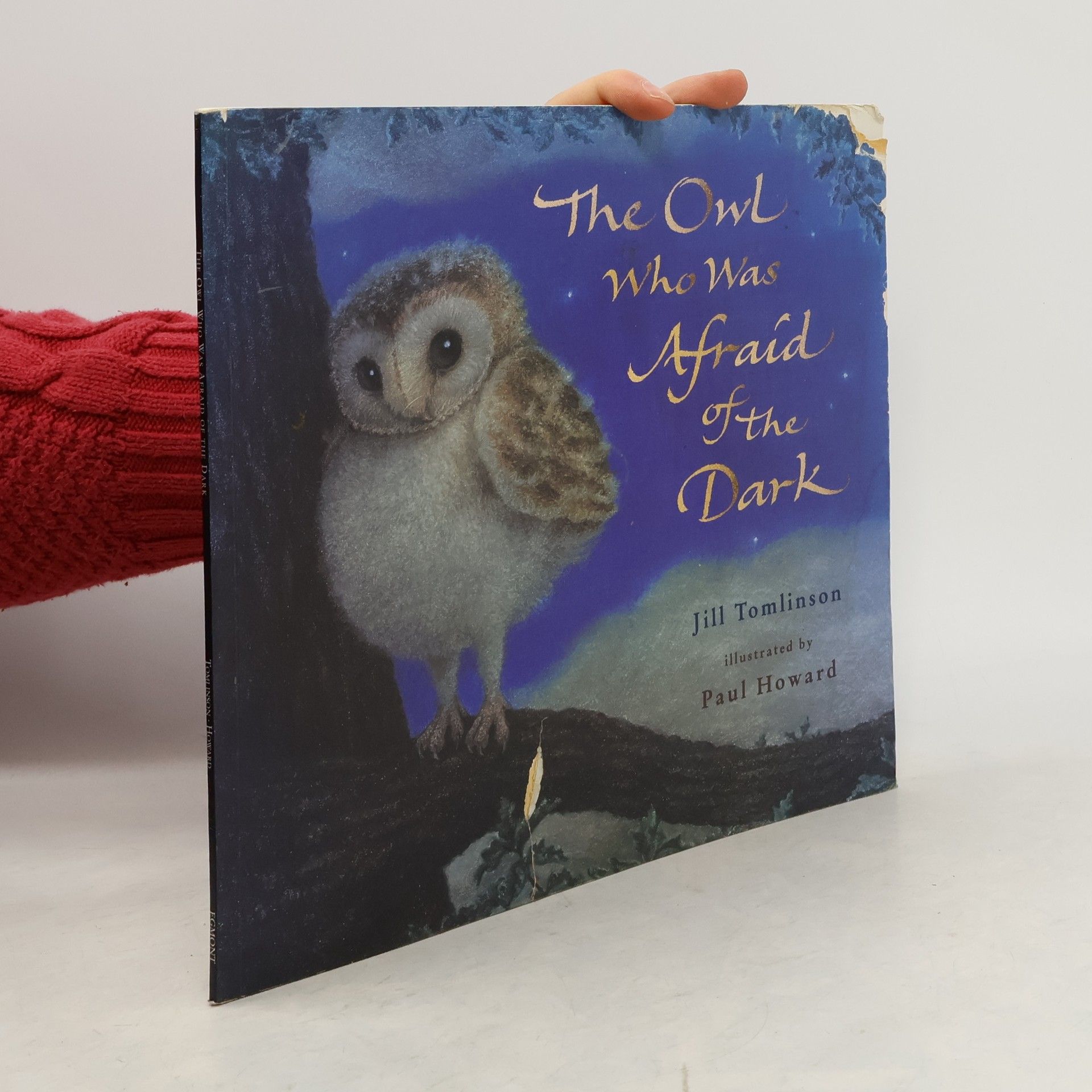 Jill Tomlinson The Owl Who Was Afraid of the Dark (Book & CD)