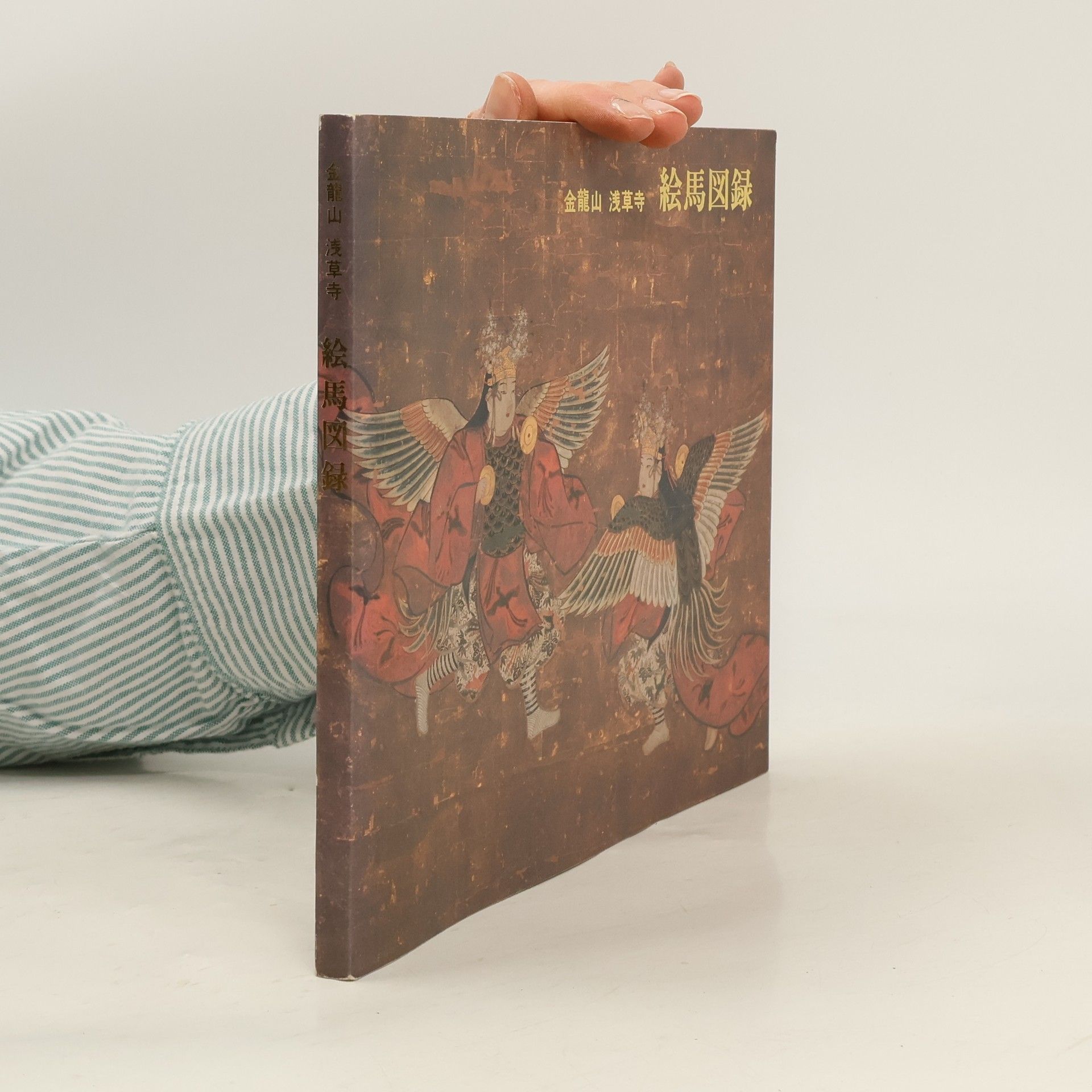 Autorenkollektiv 金龍山浅草寺 絵馬図録