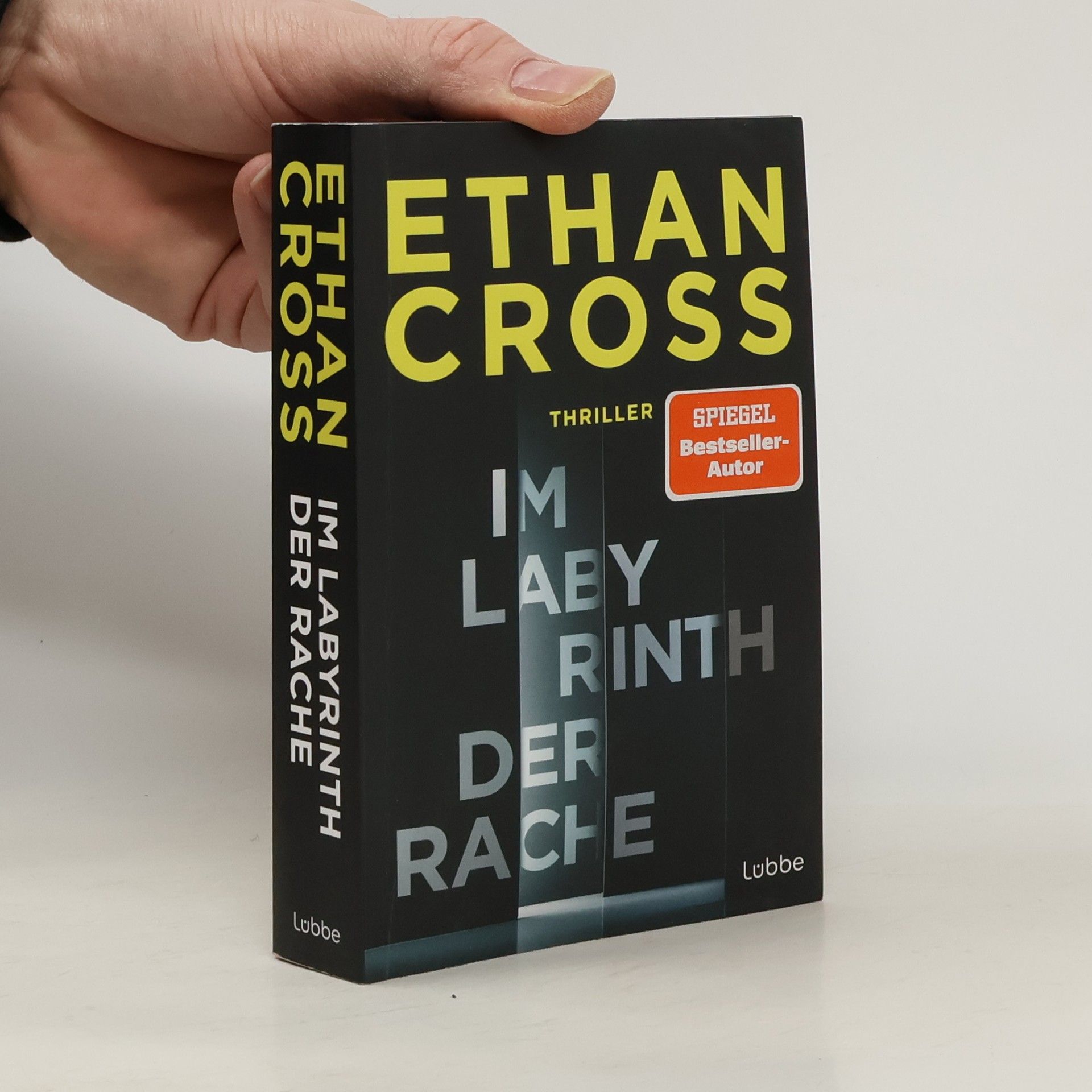 Im Labyrinth der Rache. Thriller