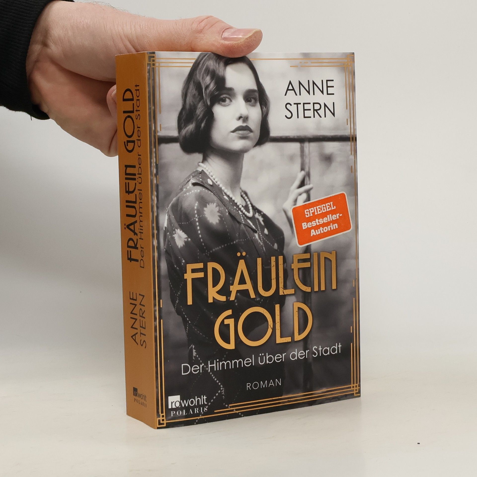 Anne Stern Fräulein Gold: Der Himmel über der Stadt