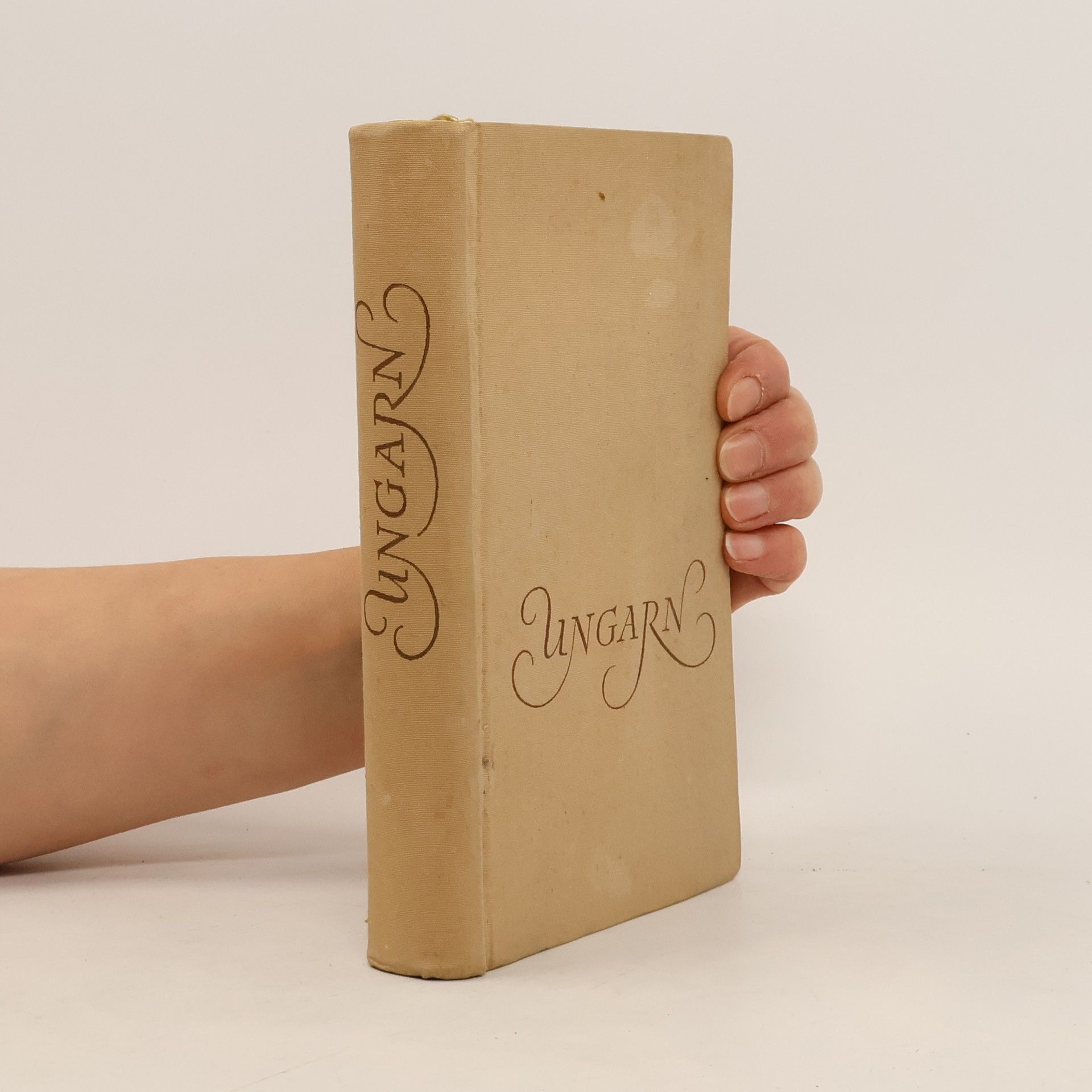 Kolektiv autorů Ungarn