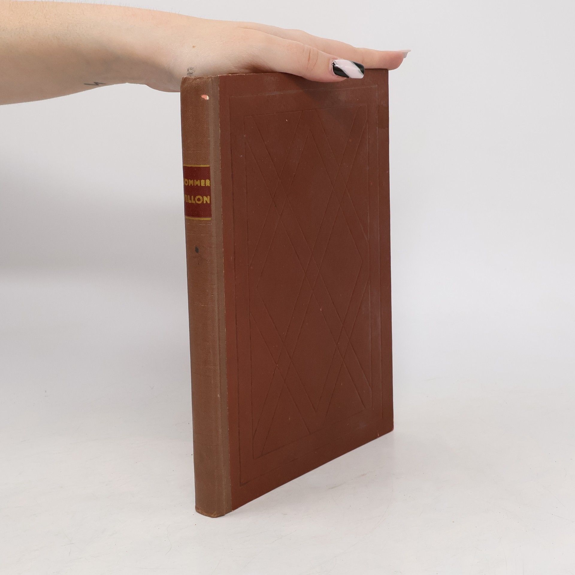 Villon. Nástin doby a osudu jednoho muže