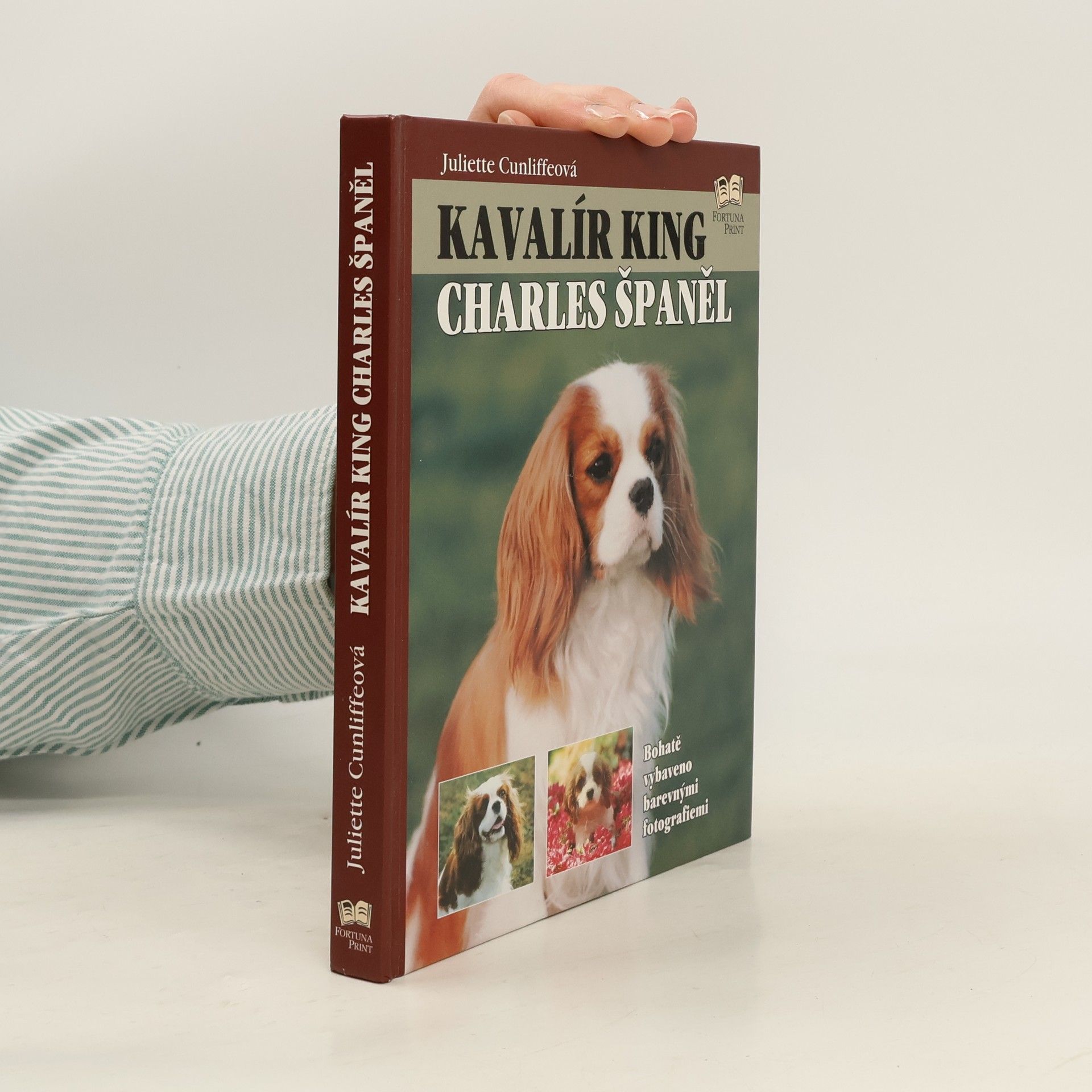 Juliette Cunliffe Kavalír king Charles španěl