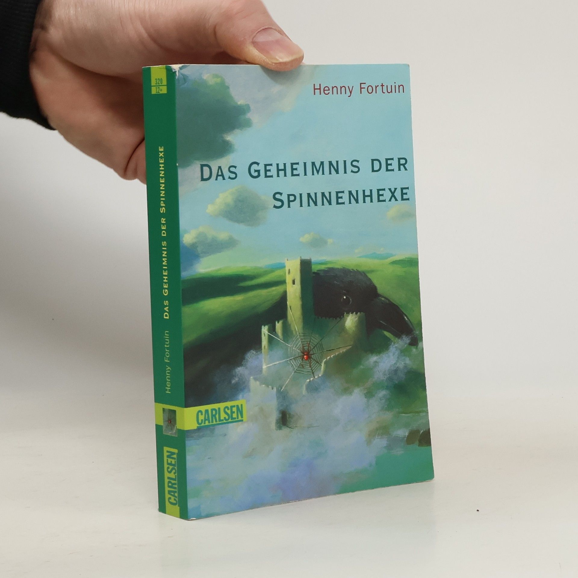Henny Fortuin Das Geheimnis der Spinnenhexe