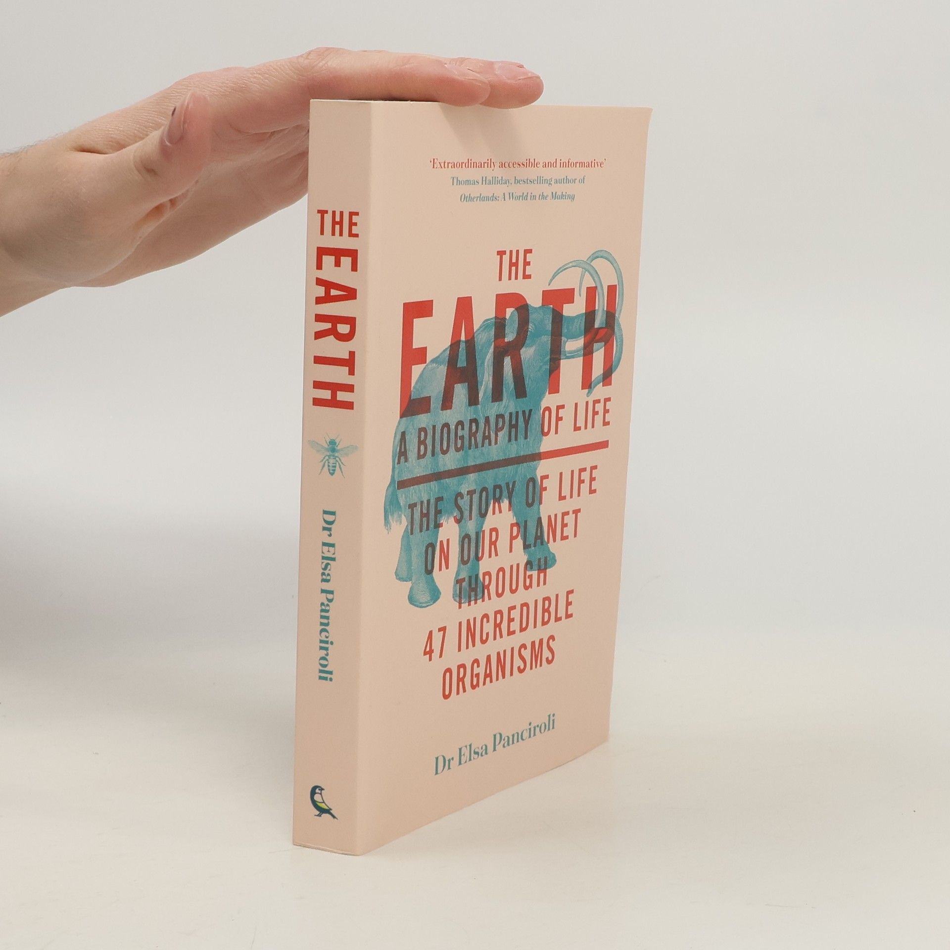 Dr. Elsa Panciroli The Earth