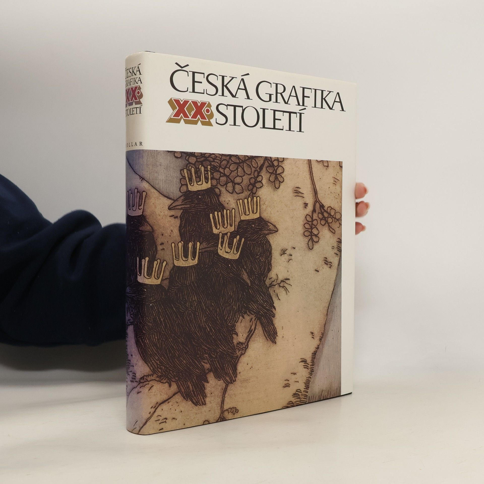 Collectif d'auteurs Česká grafika XX. století