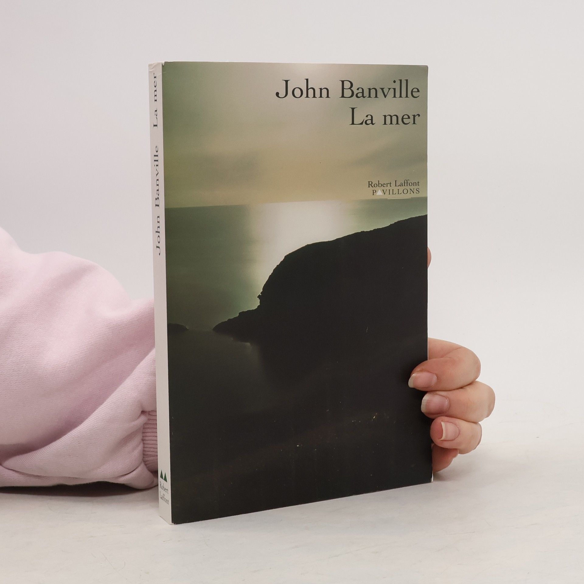 John Banville La mer