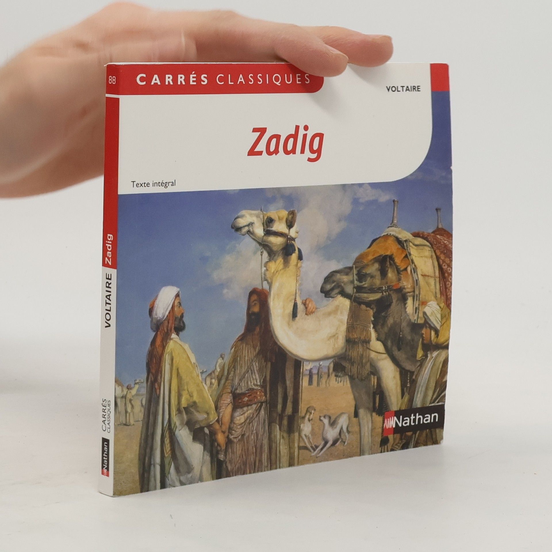 Voltaire Zadig