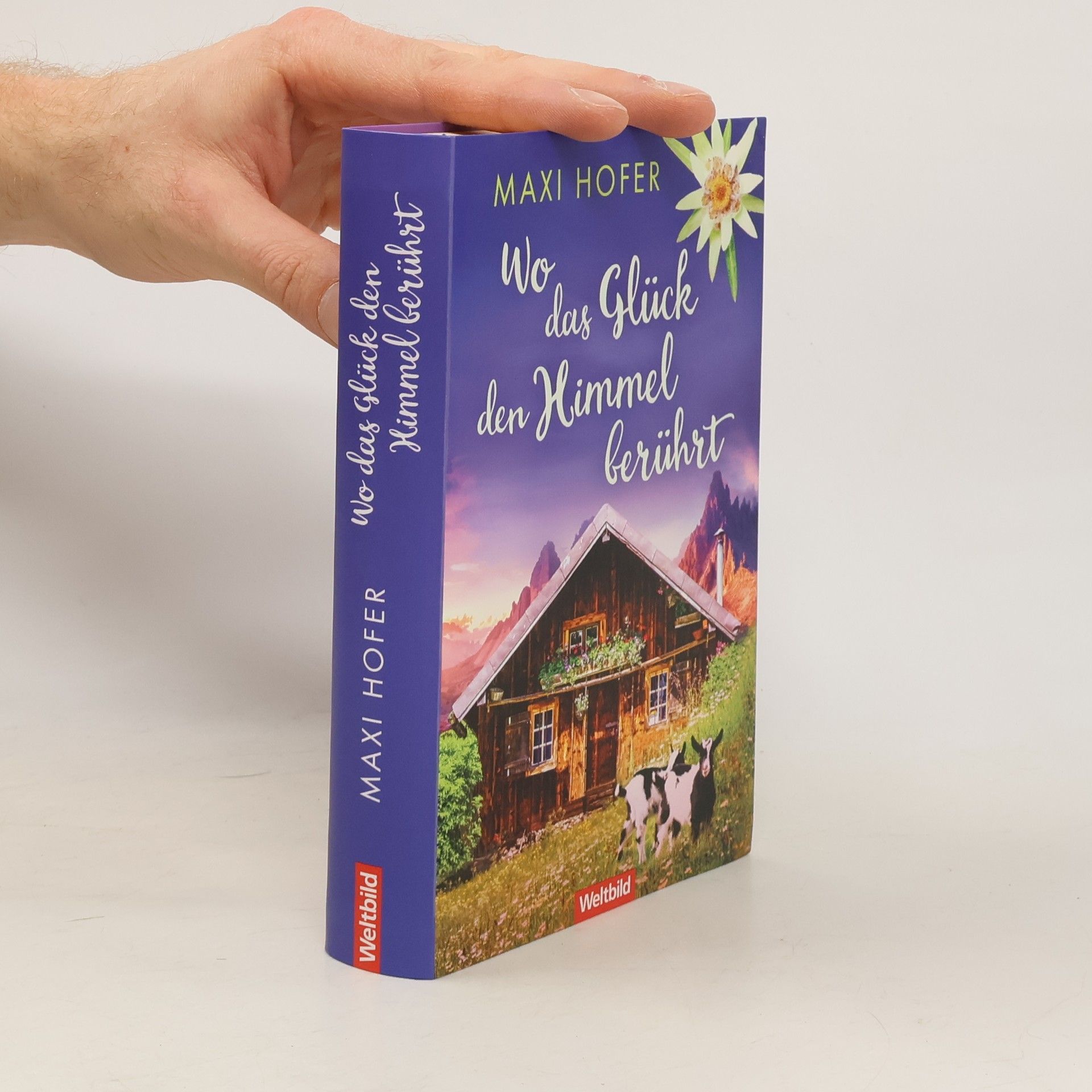 Maxi Hofer Wo das Glück den Himmel berührt