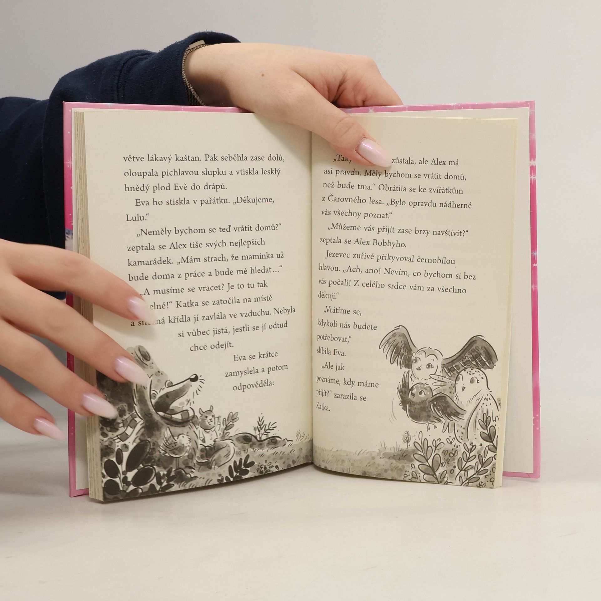Catherine Coe Sovy z Čarovného lesa: Měsíční kaštan