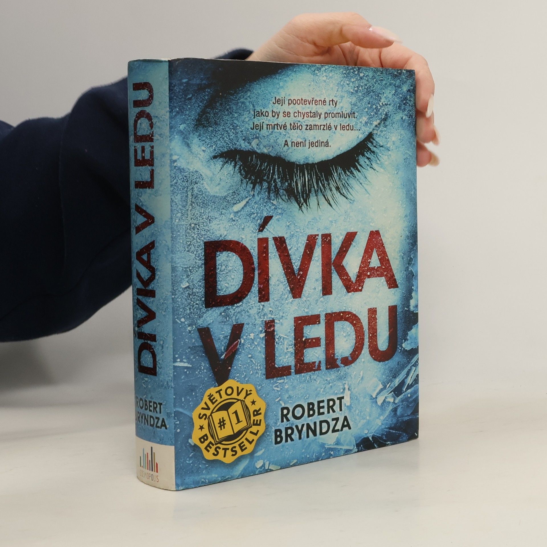 Robert Bryndza Dívka v ledu